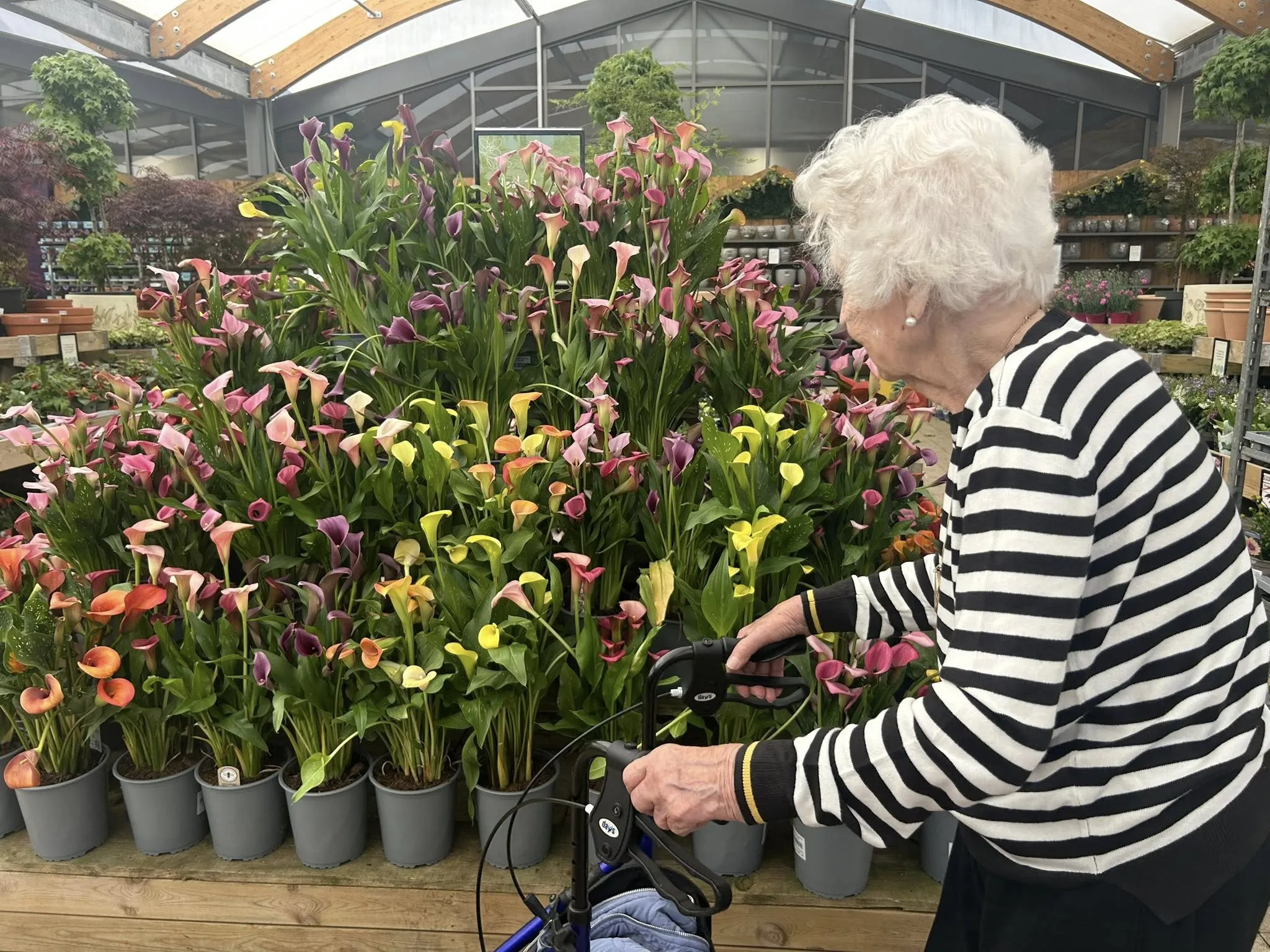Garden centre visit 