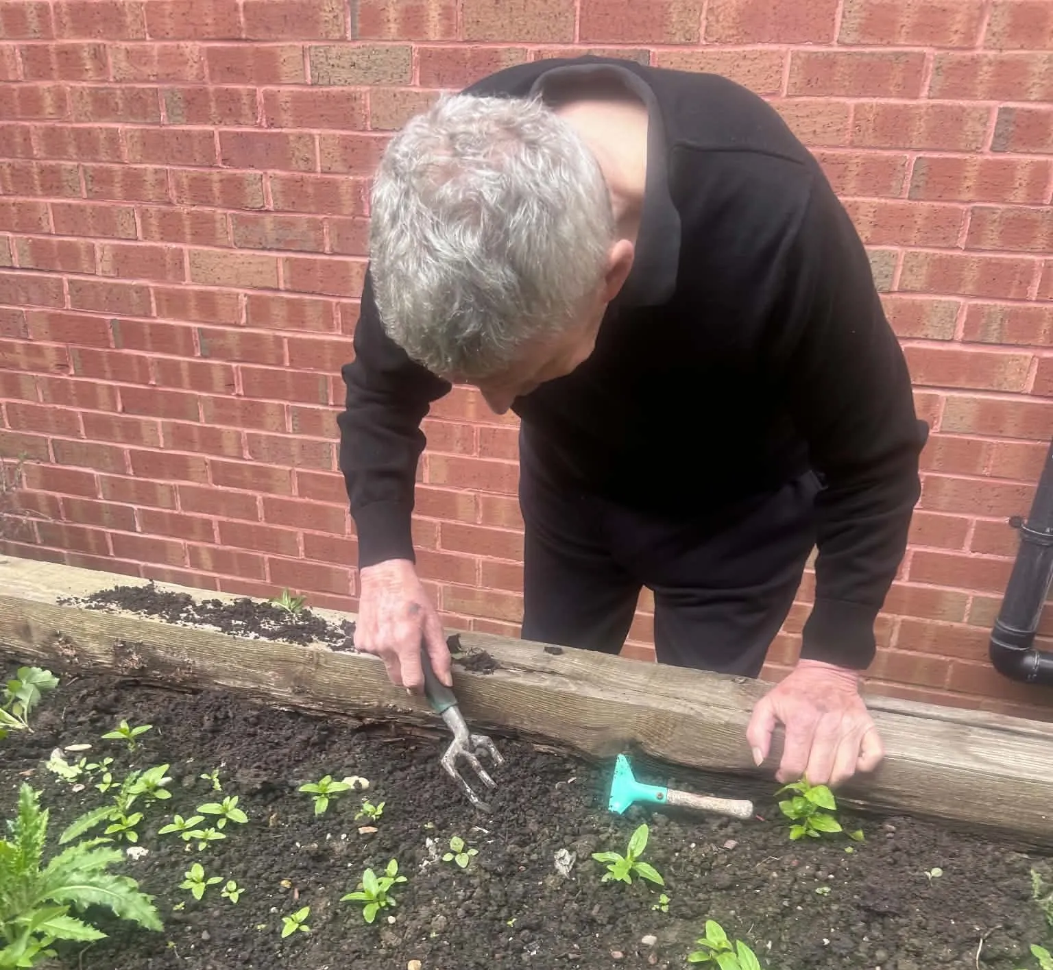 The power of meaningful activities 