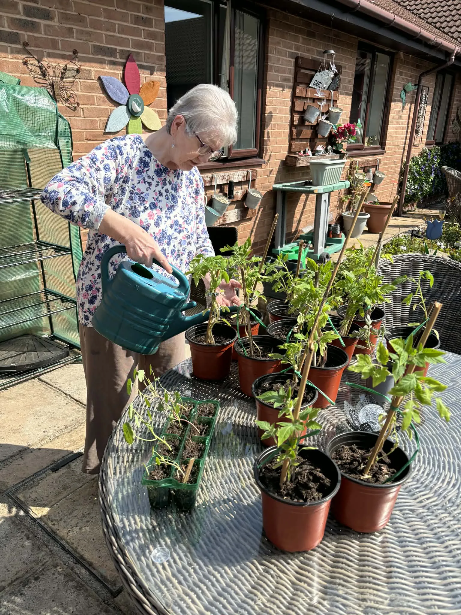 Garden project