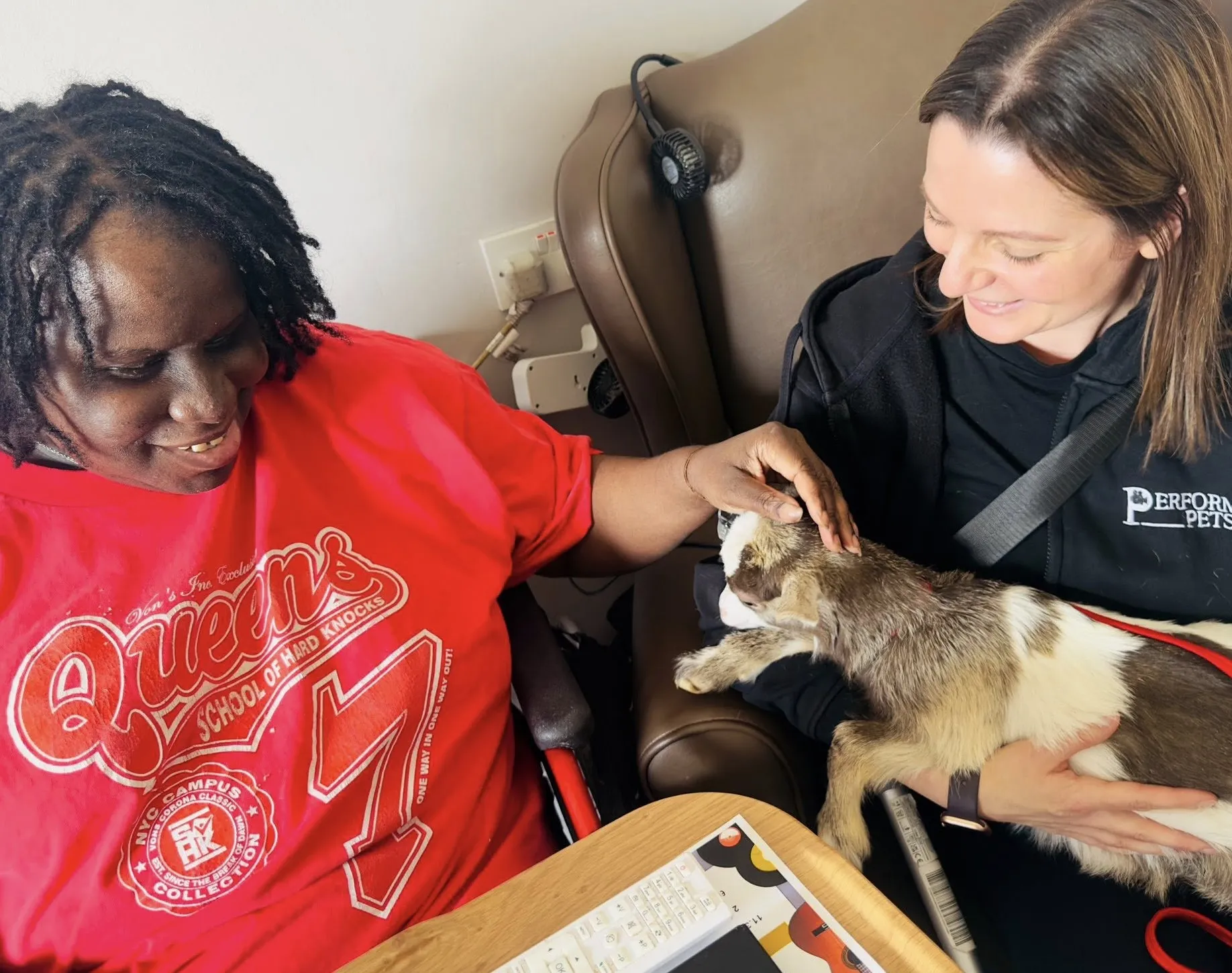 Animal therapy