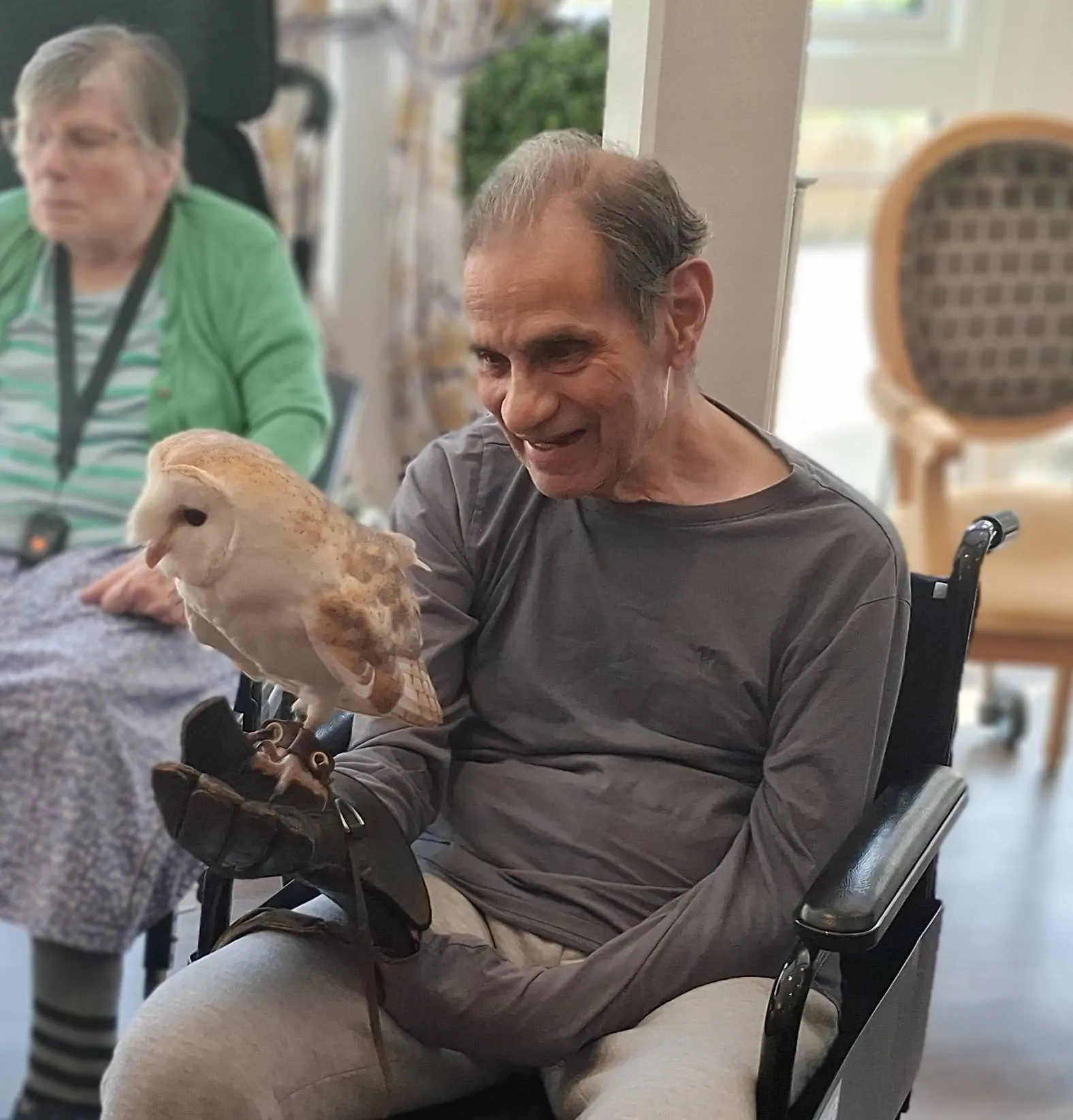 Birds of prey visit 