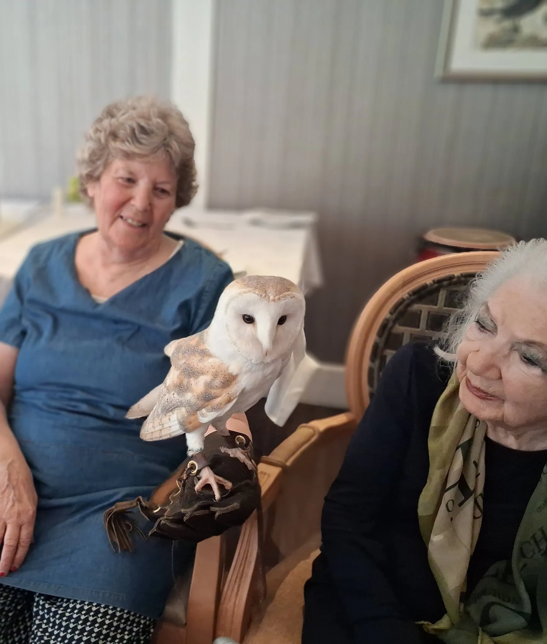 Birds of prey visit 