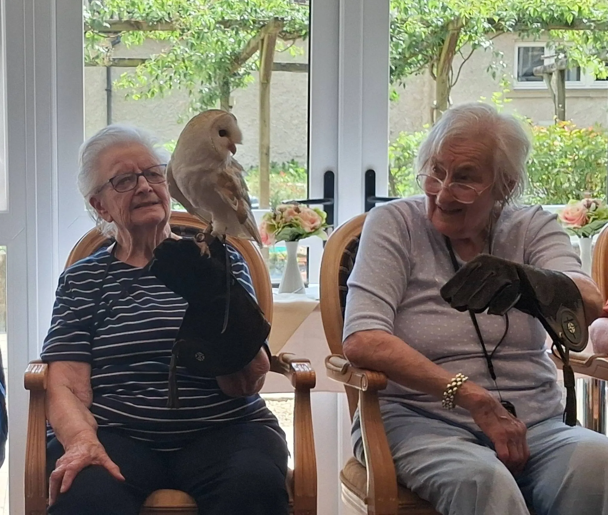 Birds of prey visit 