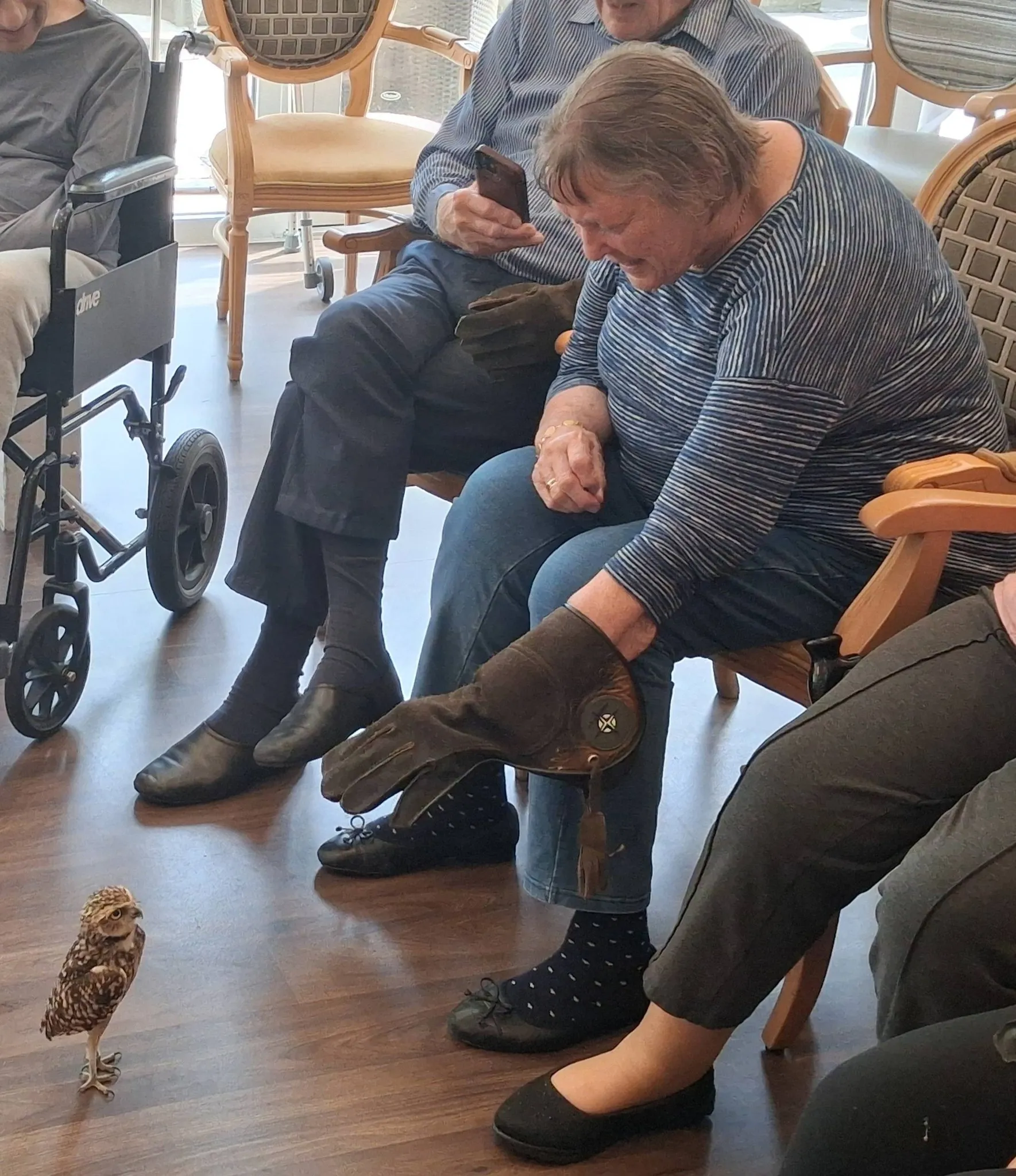 Birds of prey visit 