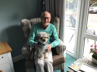 The Return of Lorenzo & Earl, Pet Therapy Dogs