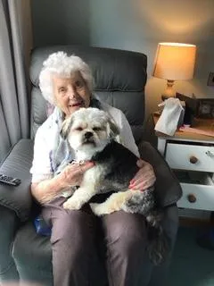 The Return of Lorenzo & Earl, Pet Therapy Dogs