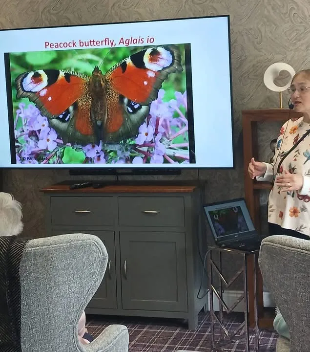 Minibeasts presentation