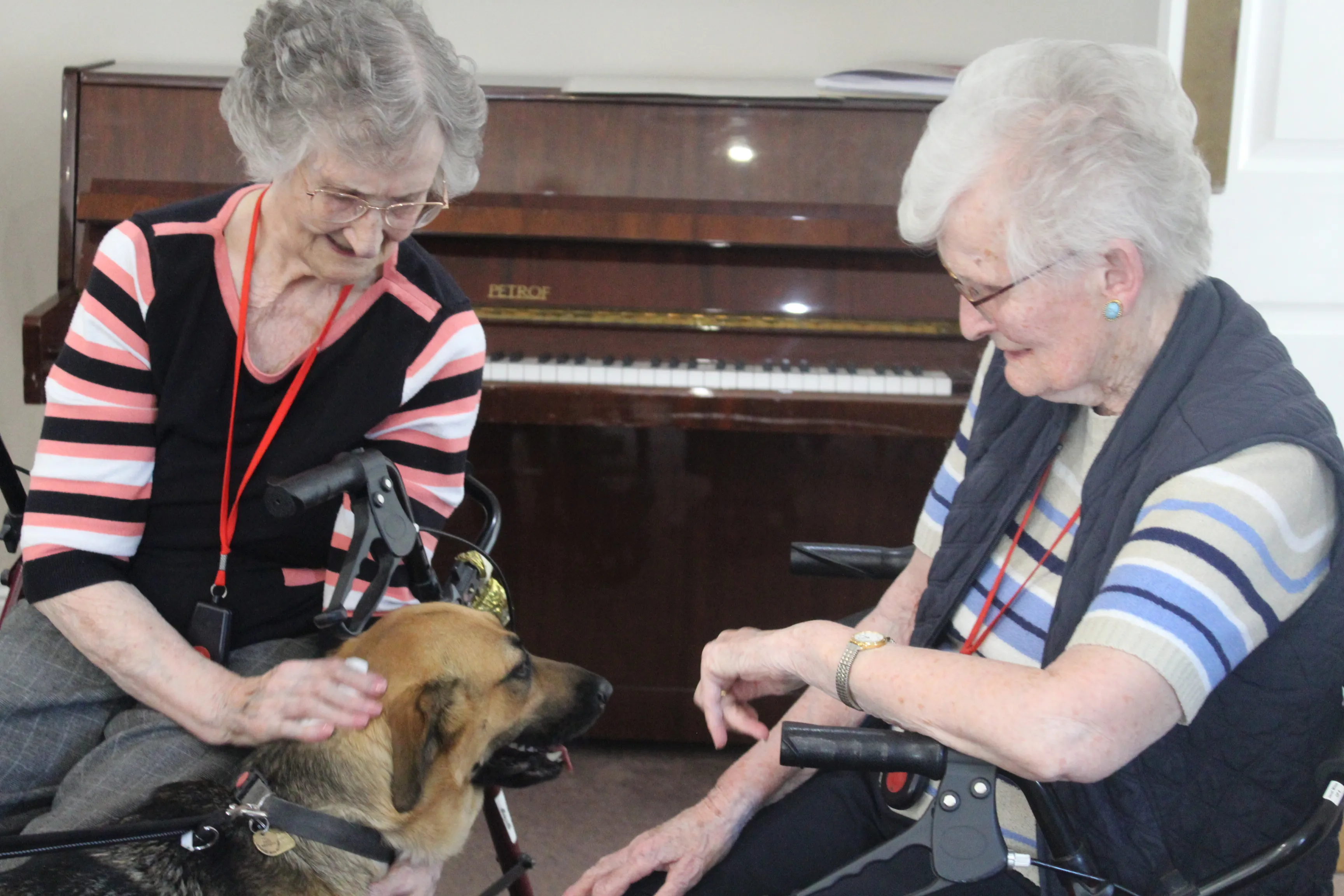 International Guide Dog Day 