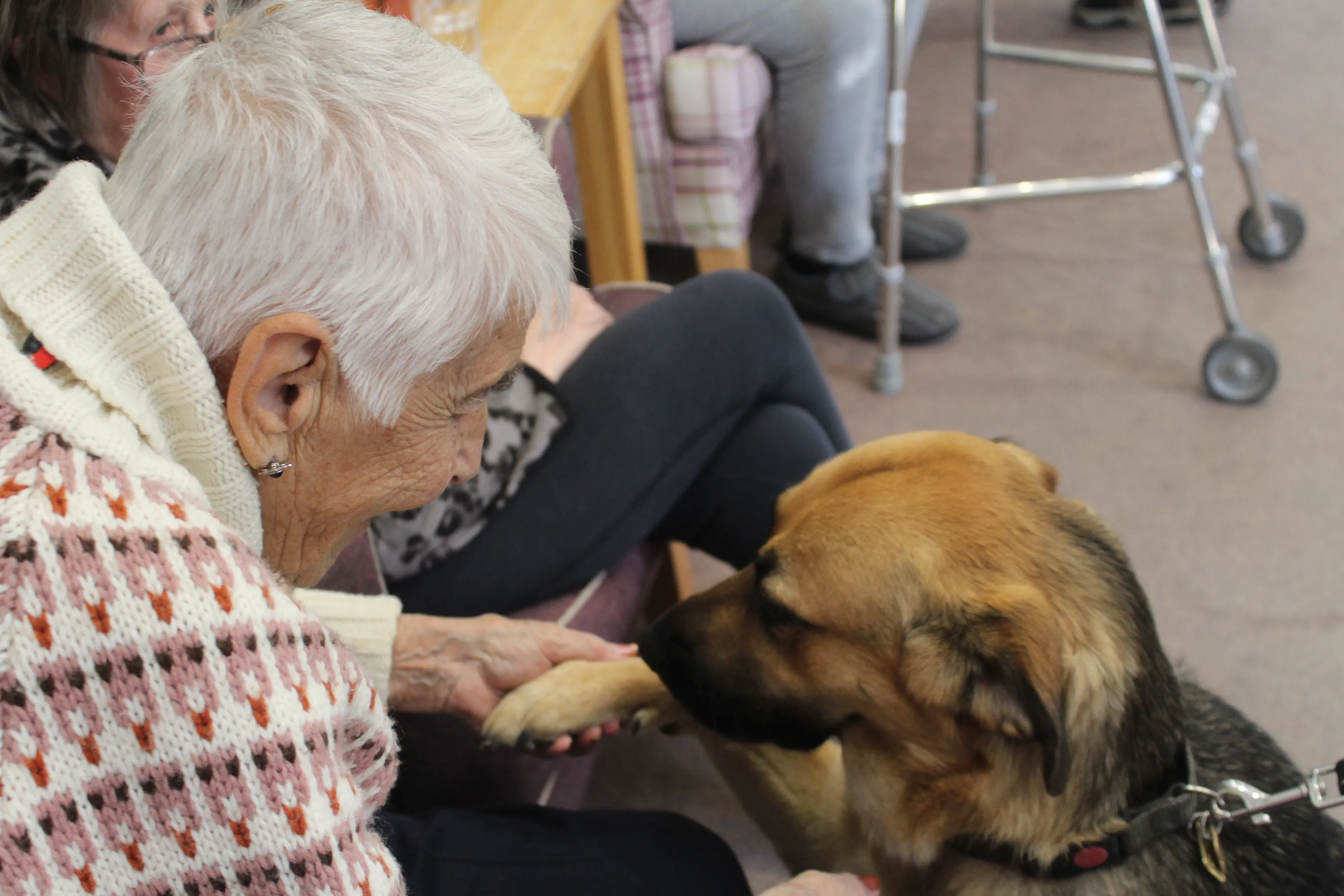International Guide Dog Day 