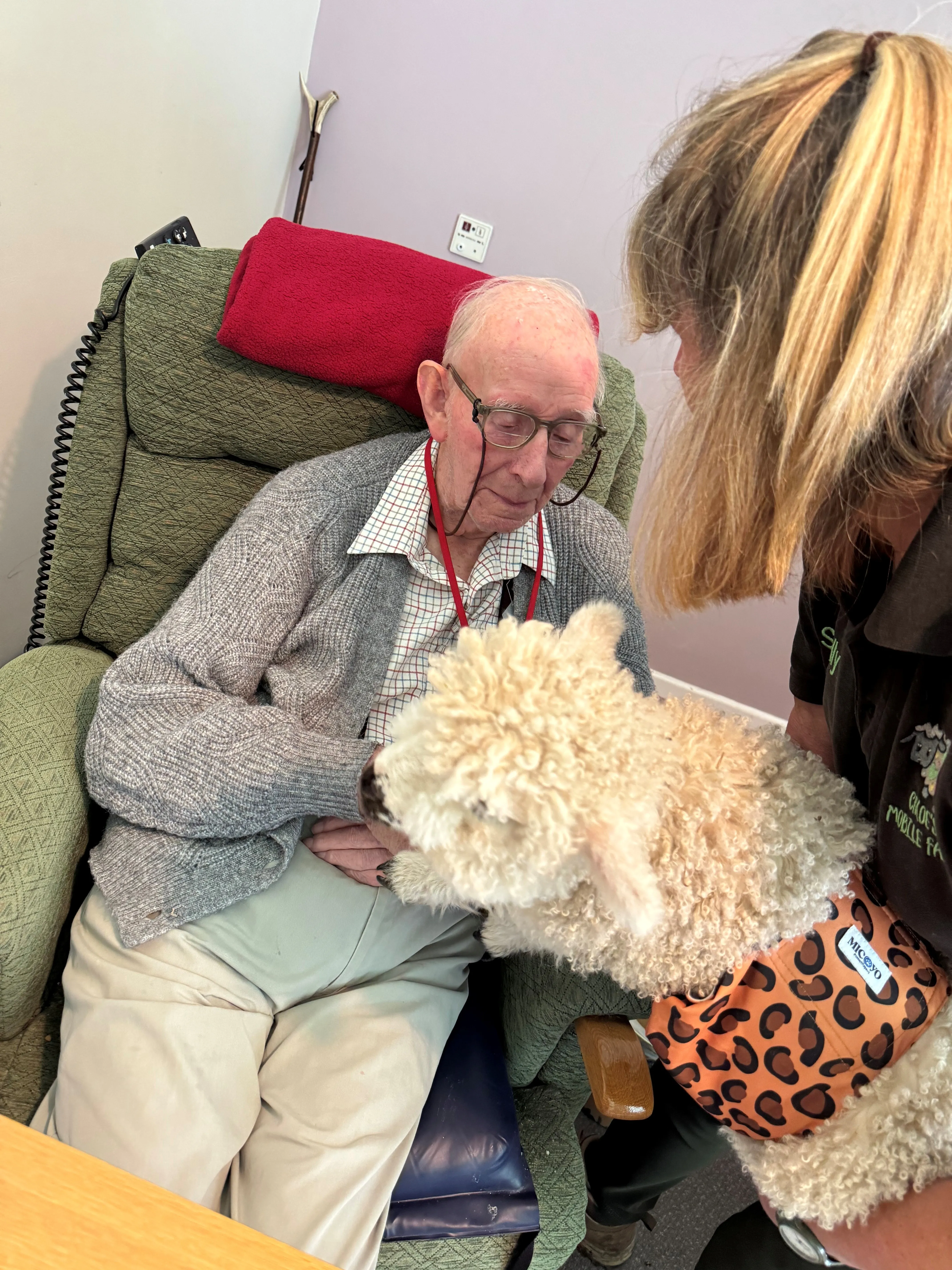 A Wonderful Visit from Chloe’s Mobile Farm 