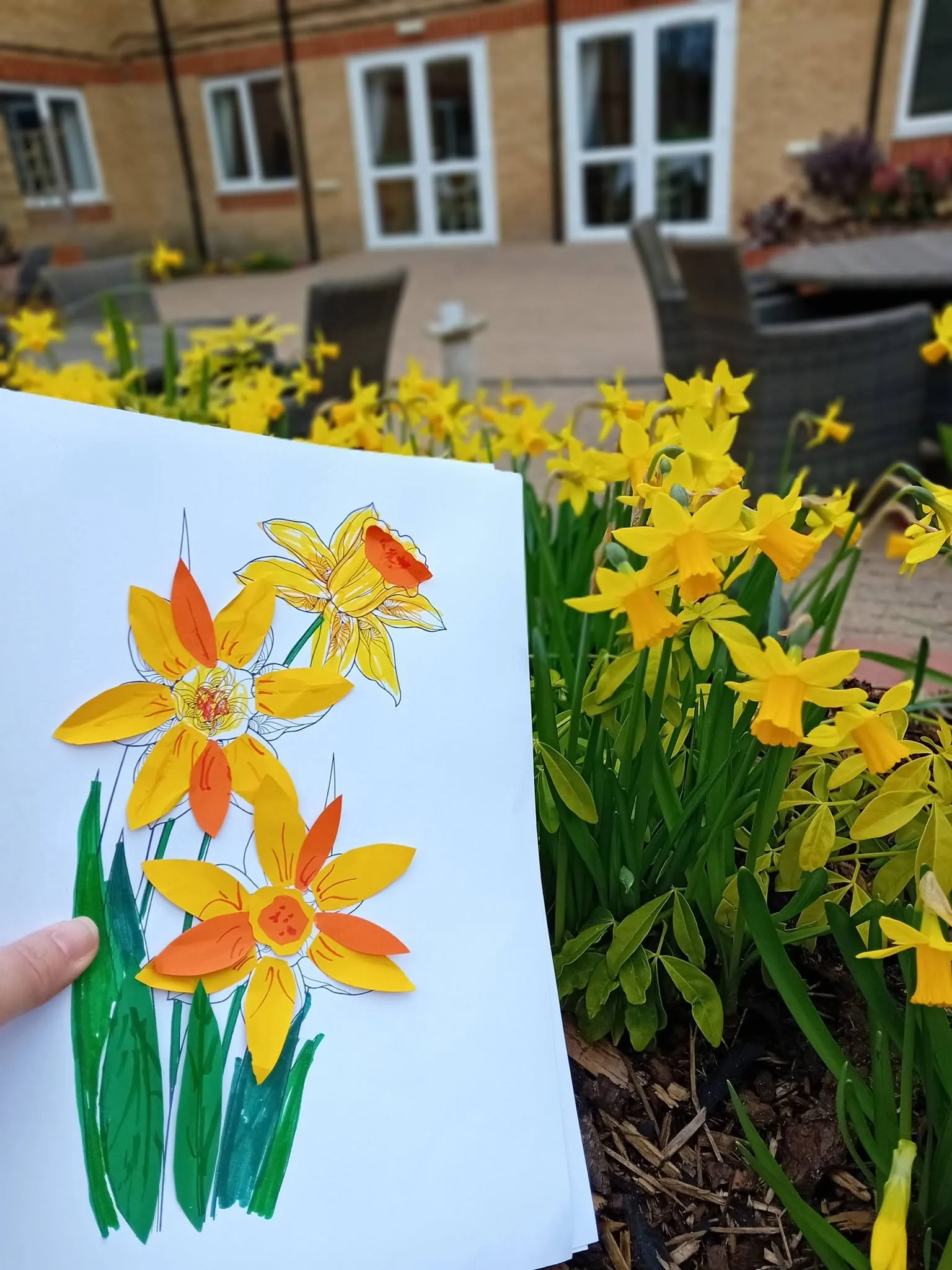 St David's Day Celebrations