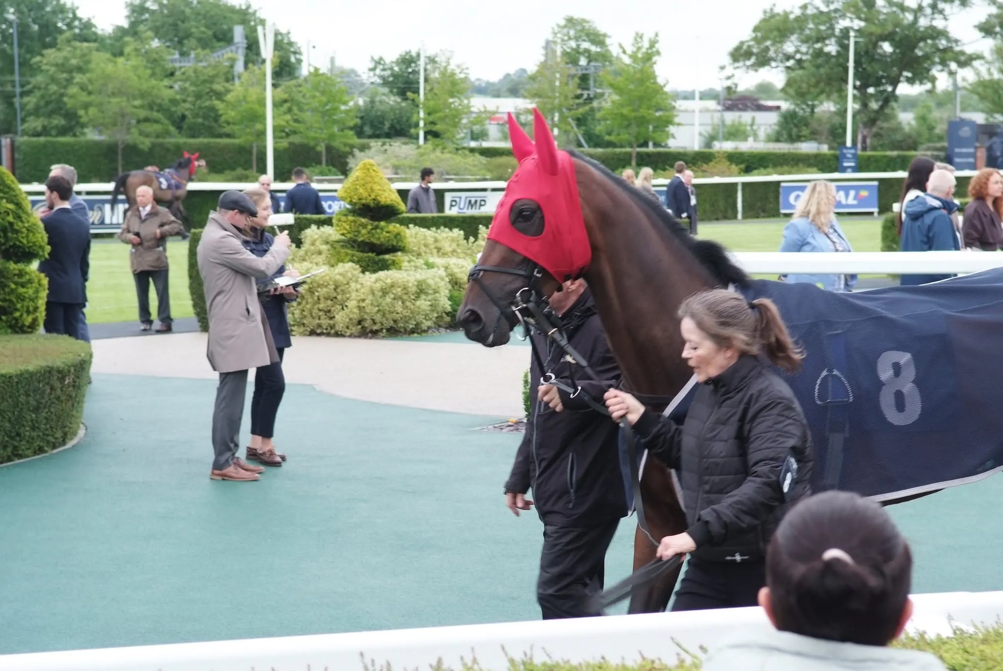 A memorable day at Newbury Racecourse 