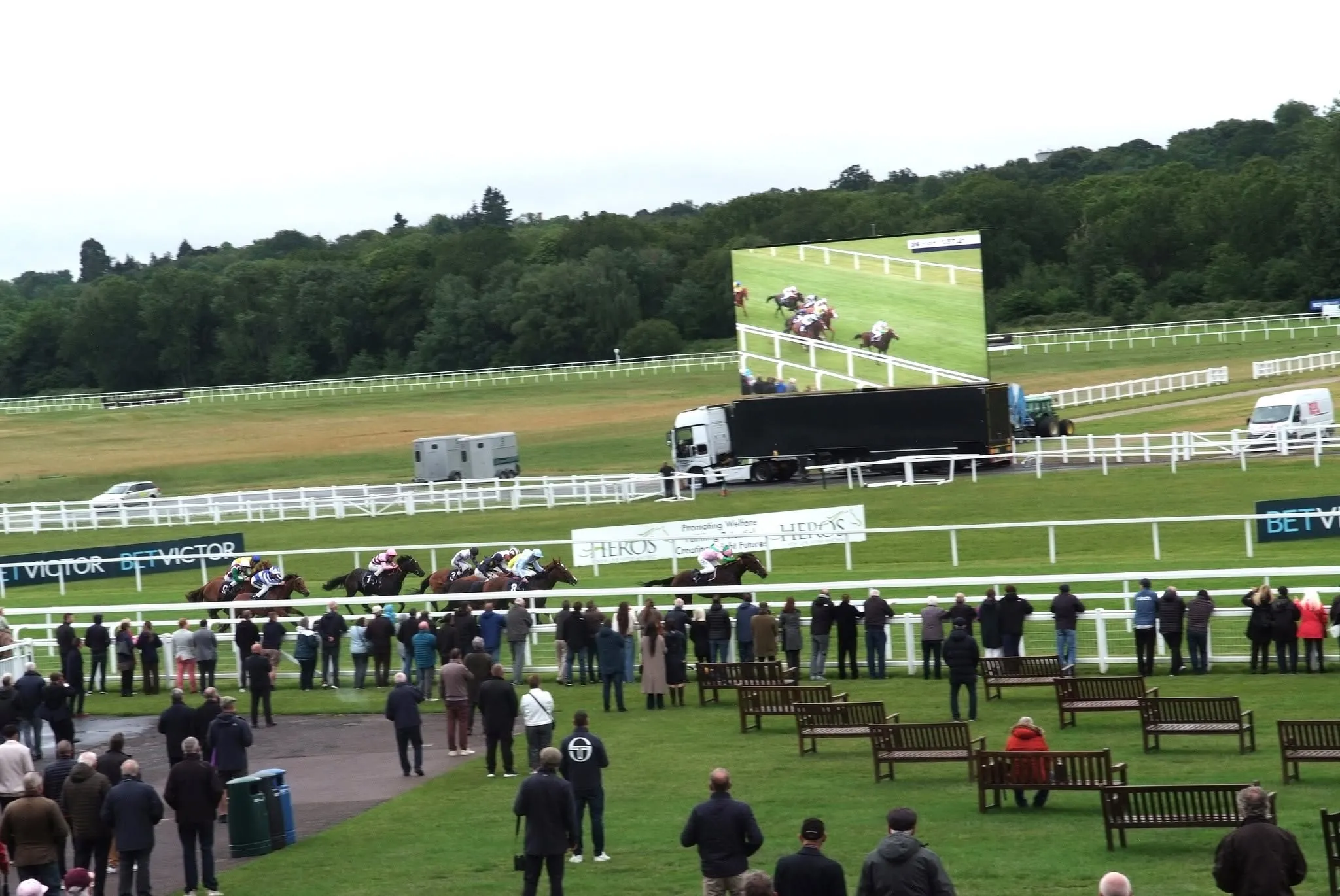 A memorable day at Newbury Racecourse 