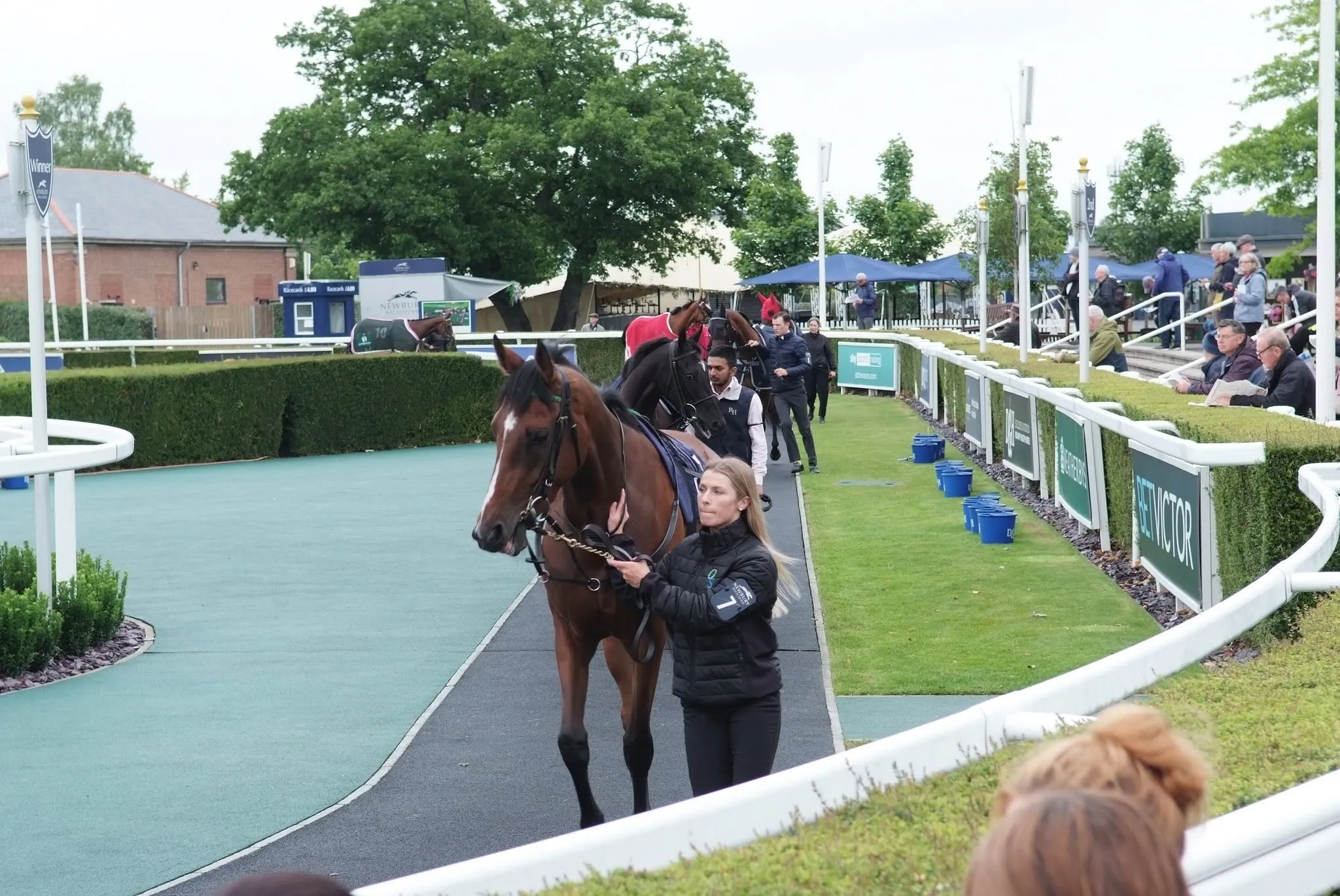 A memorable day at Newbury Racecourse 