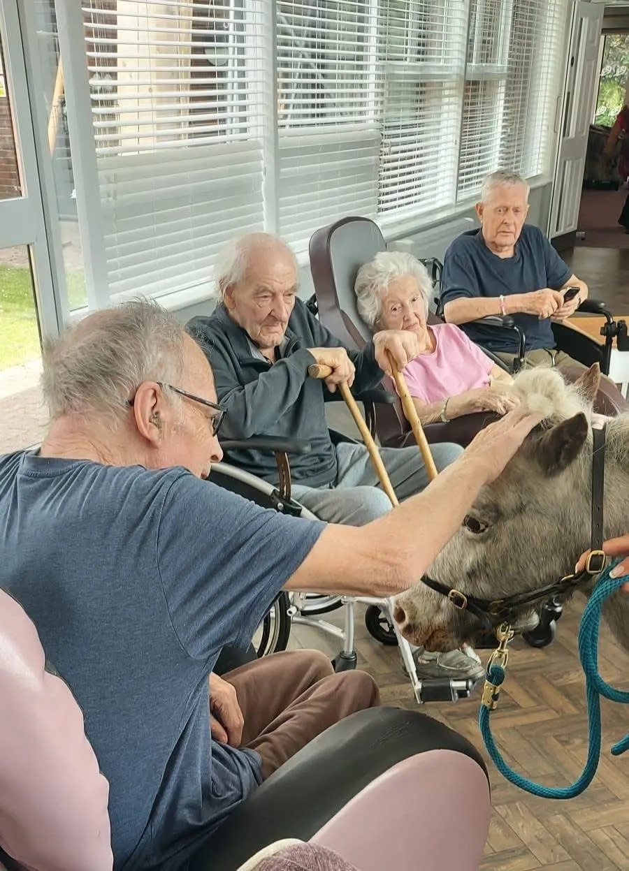 Therapy pony visit 