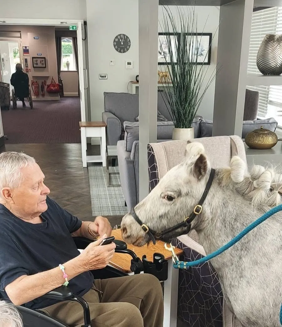 Therapy pony visit 