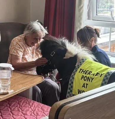 Pony visit