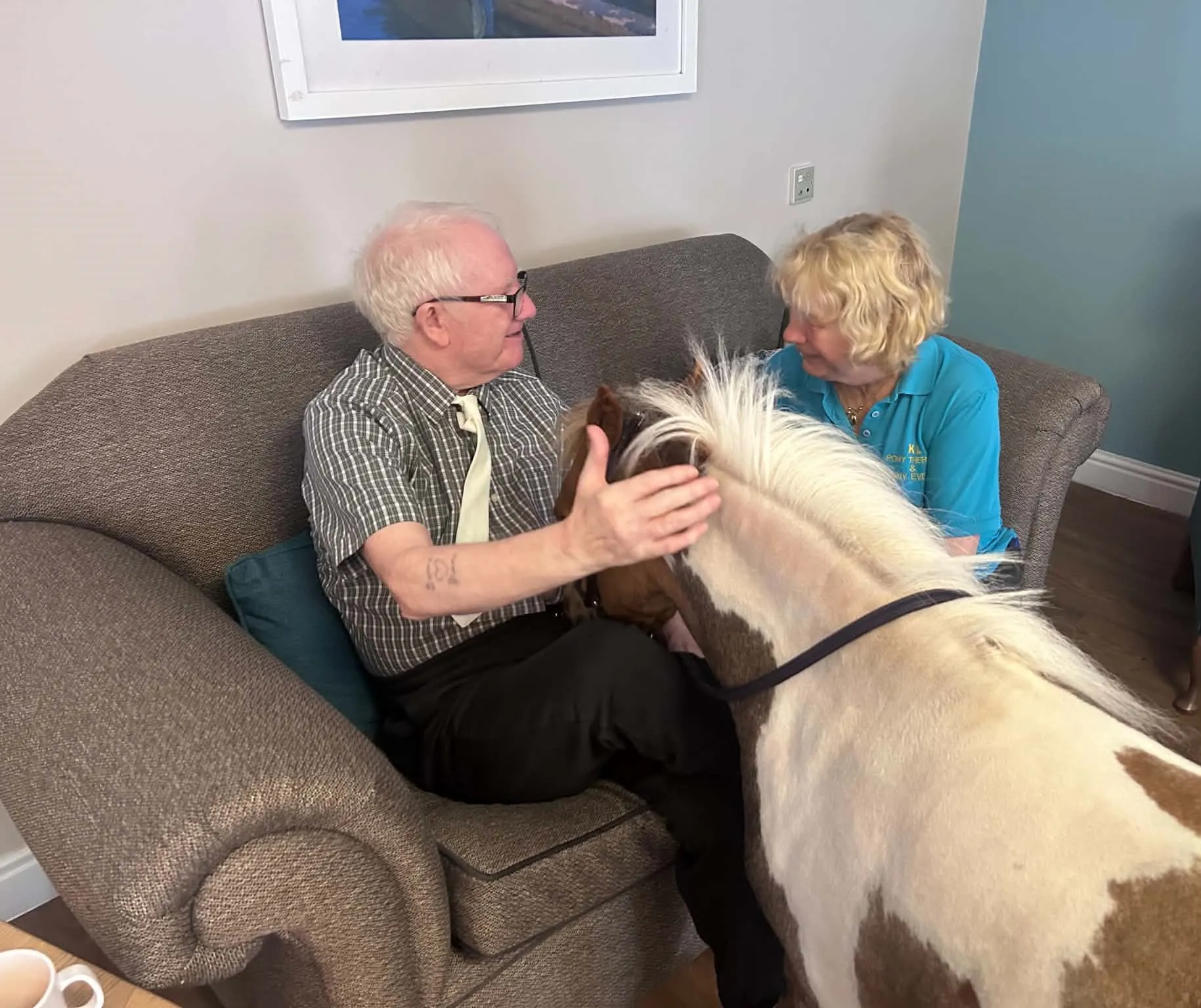 Miniature Horses Visit 