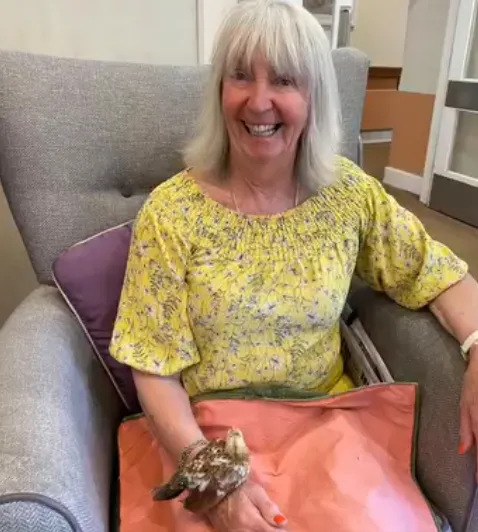 Pet Pals Therapy 