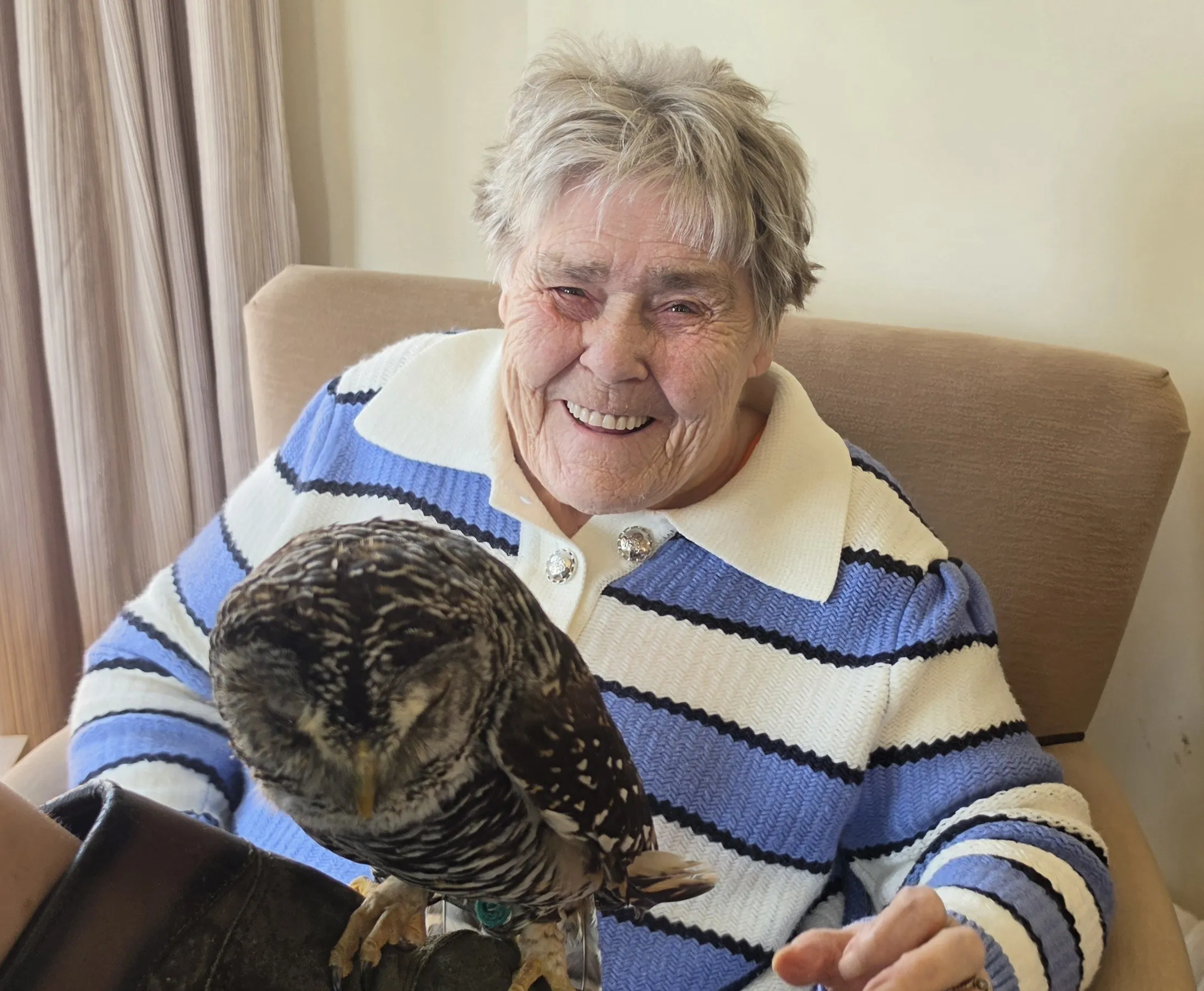 WHAT A HOOT! 