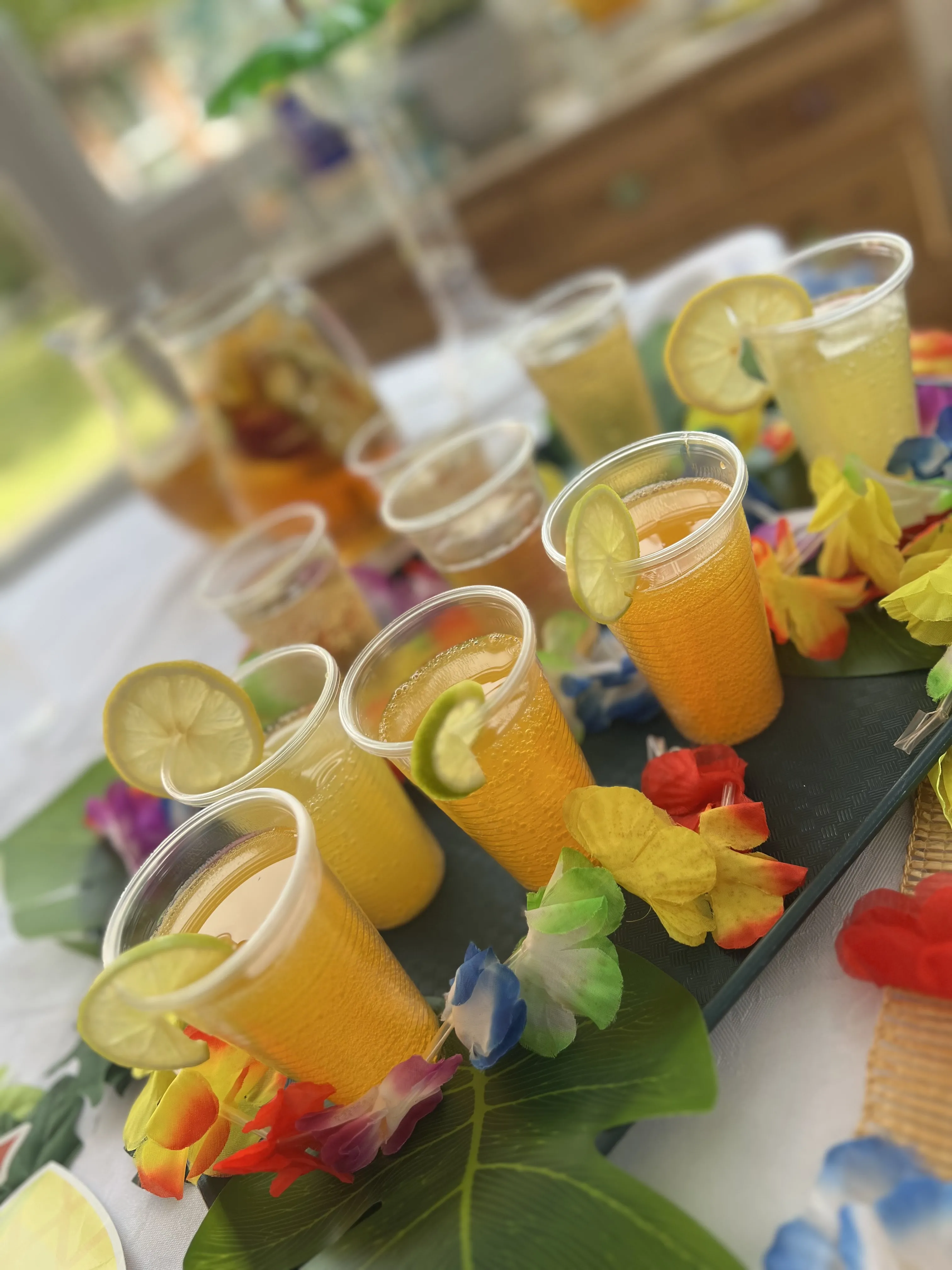 Aloha from Westvale House