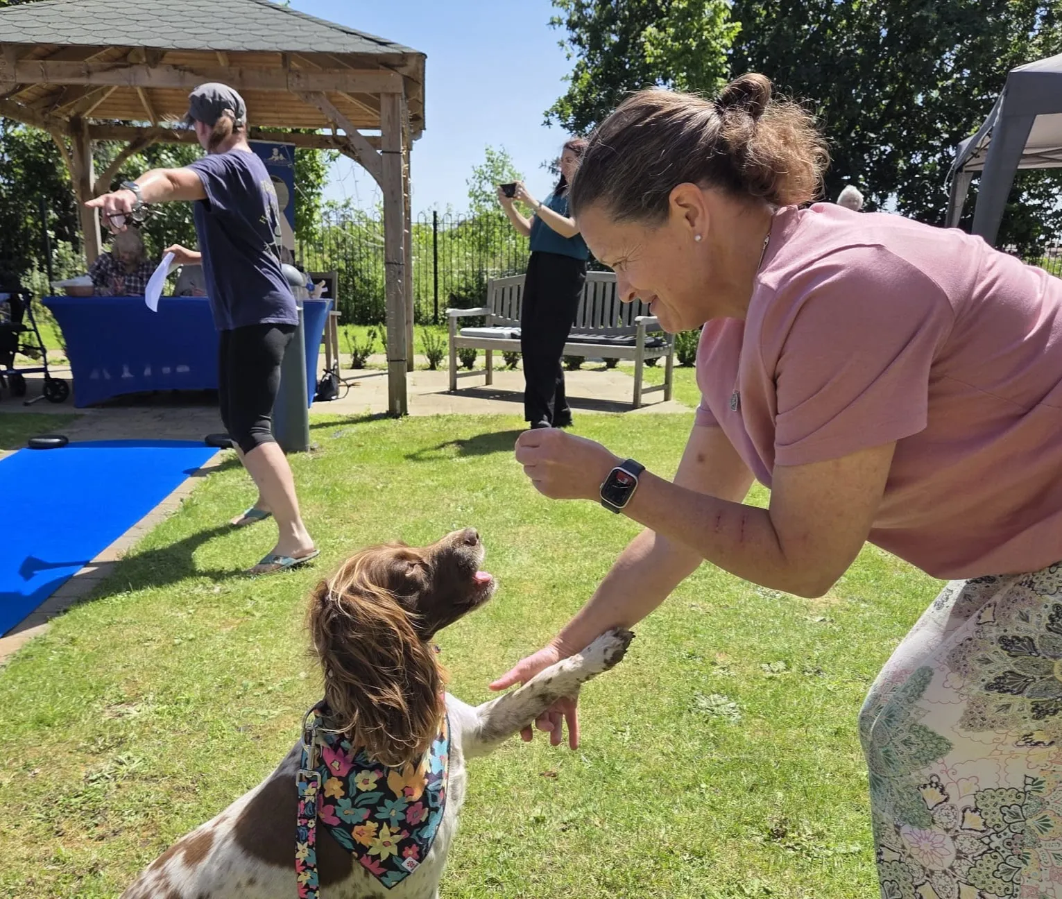 Dog Show