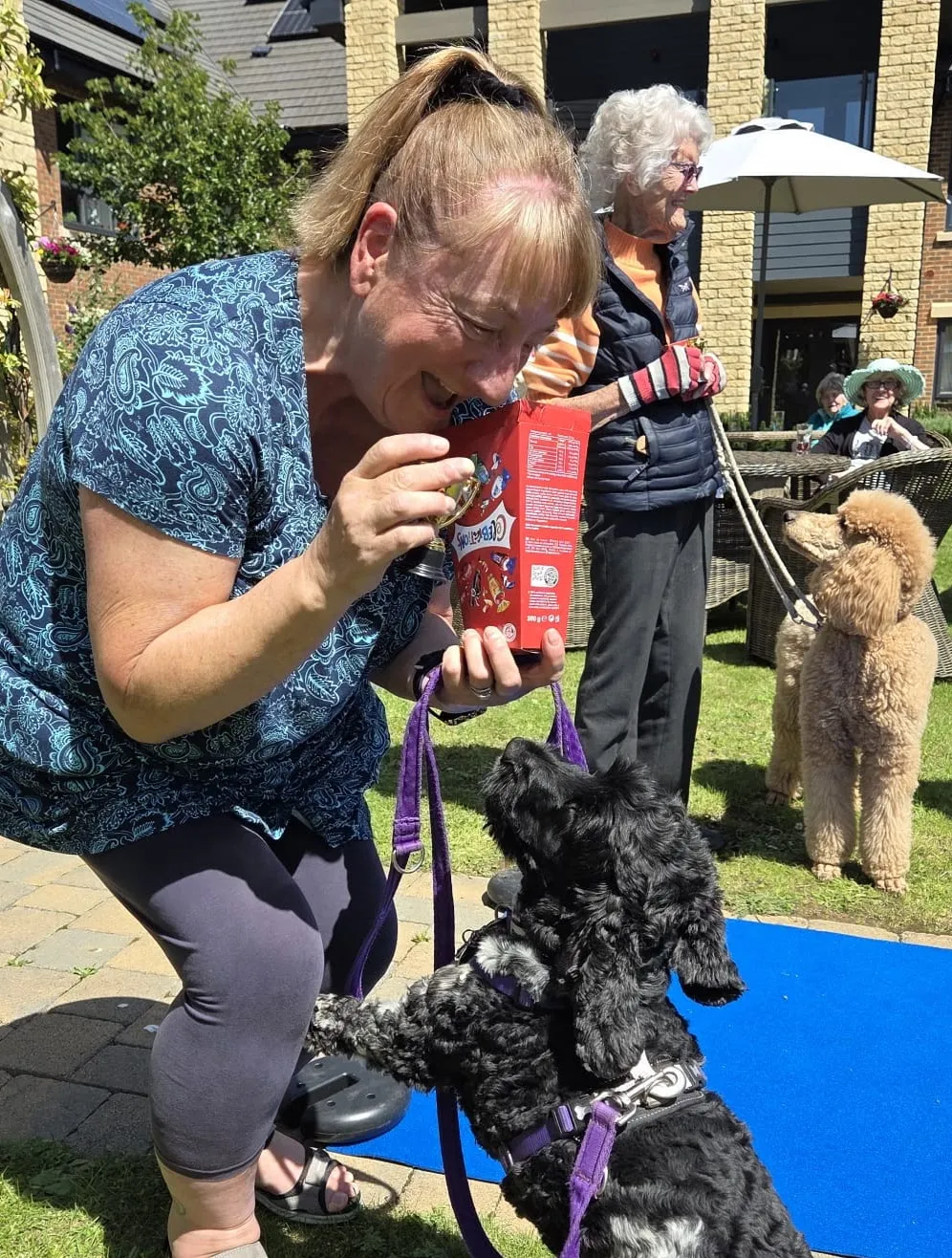 Dog Show