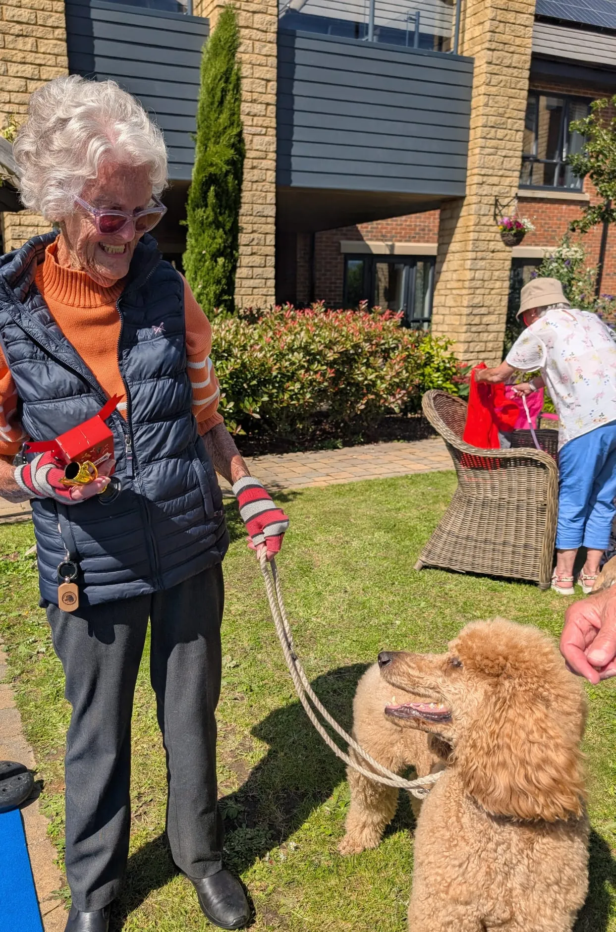 Dog Show