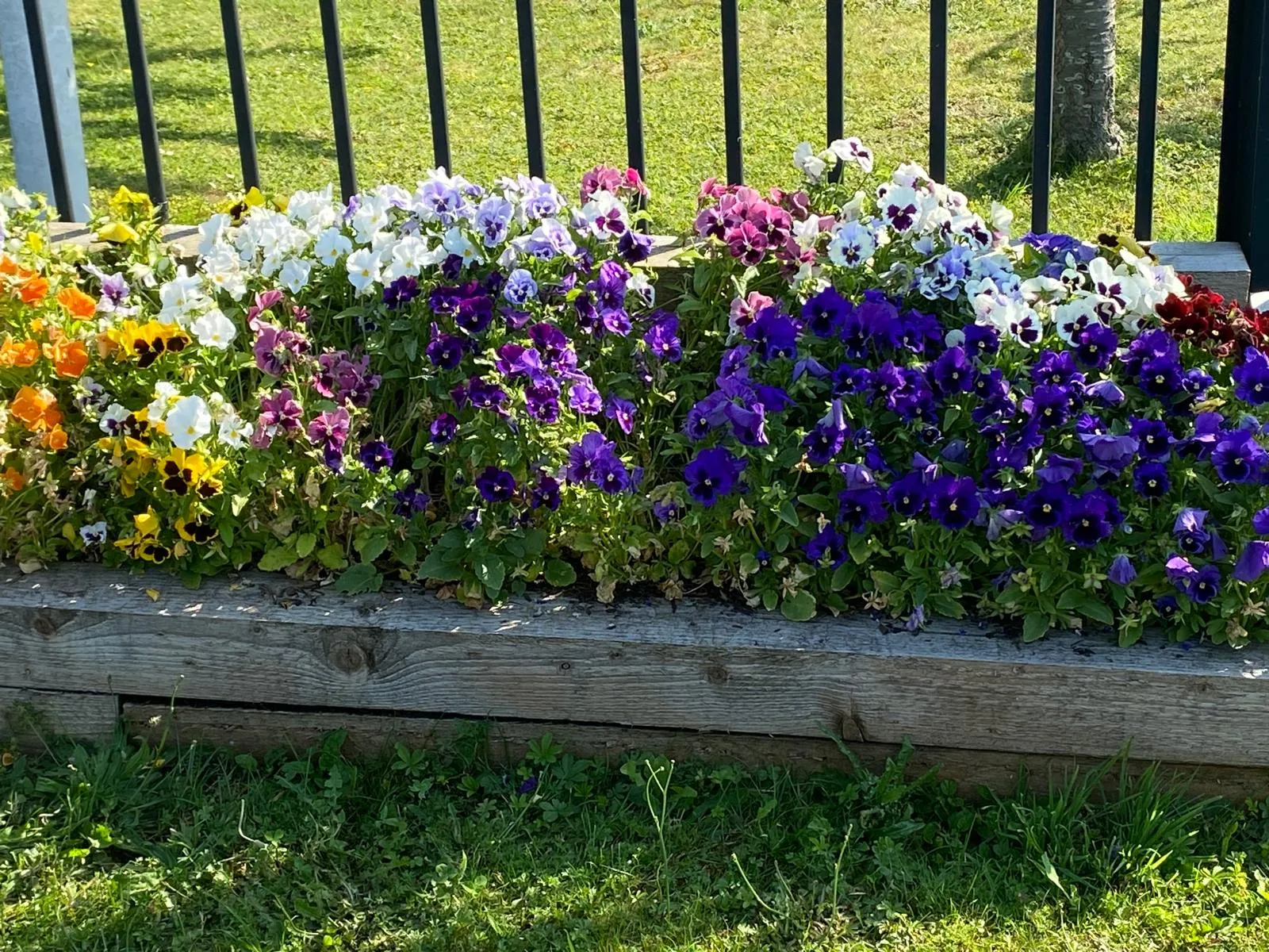 Team Spotlight as We Celebrate 9 Years of Brendan’s Garden Magic!