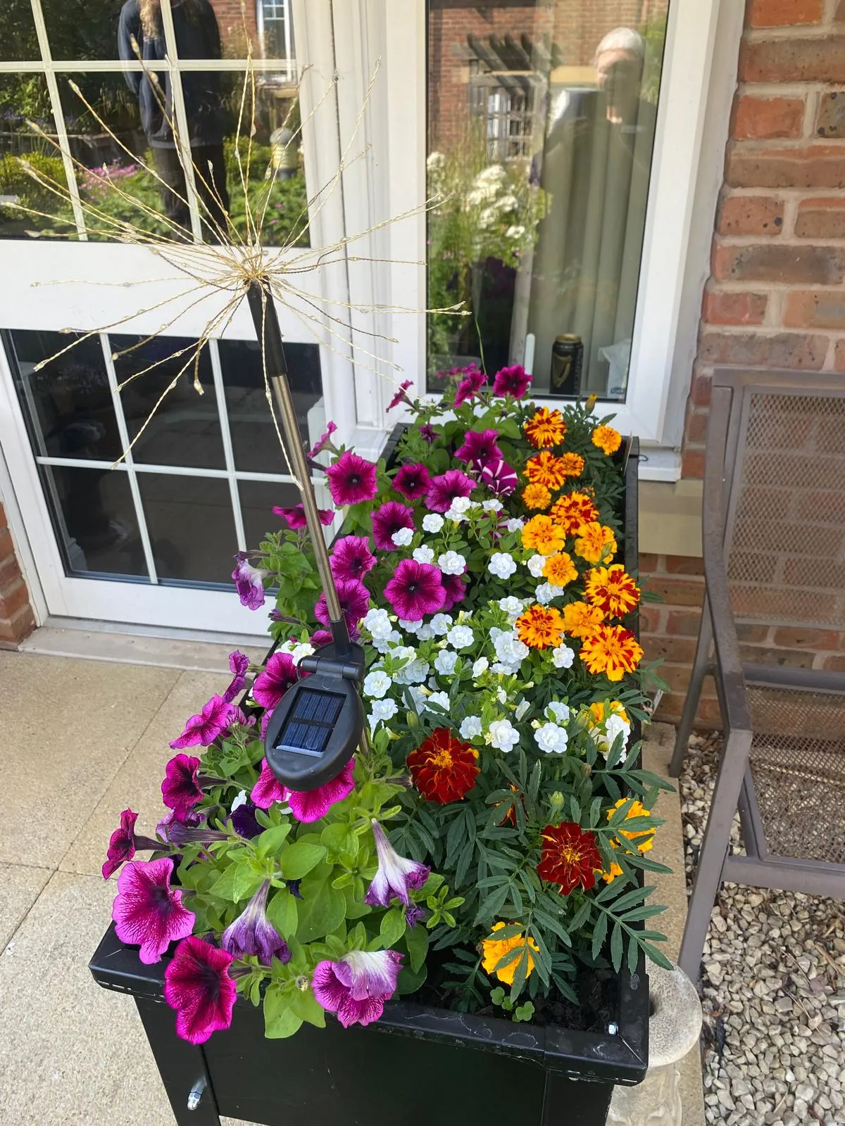 Team Spotlight as We Celebrate 9 Years of Brendan’s Garden Magic!