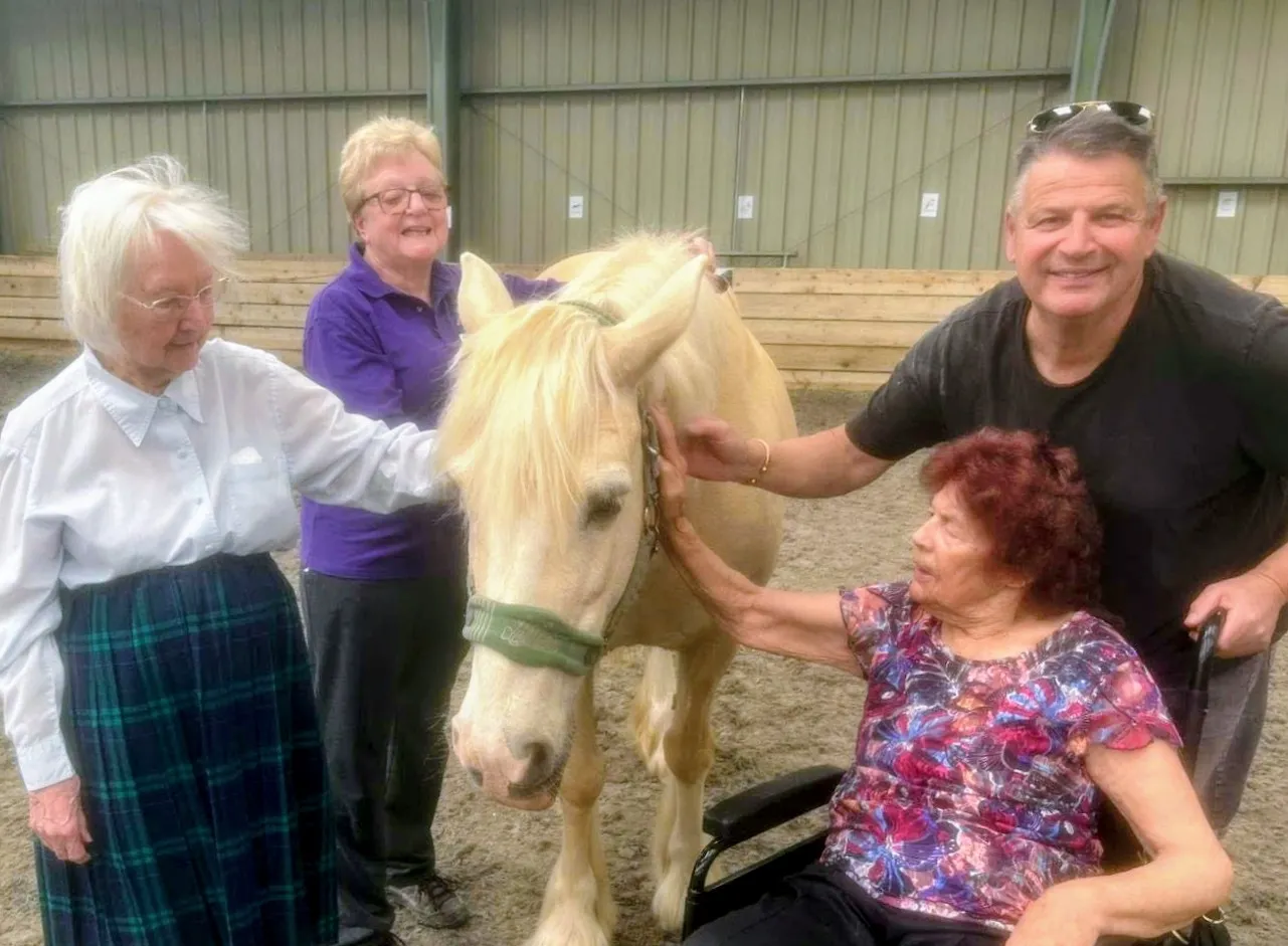 Horse Therapy
