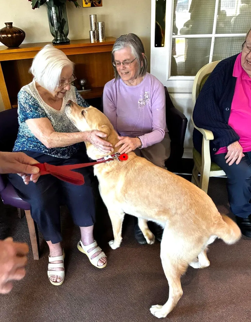 Guide Dog Day