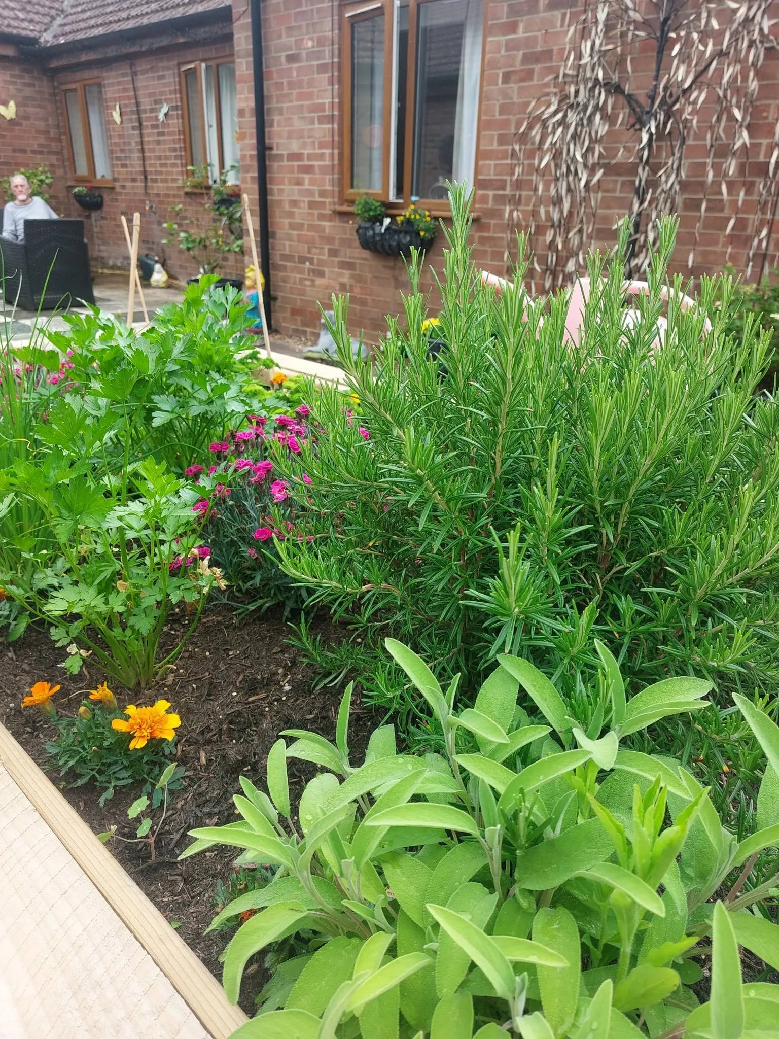 Sensory Gardening 