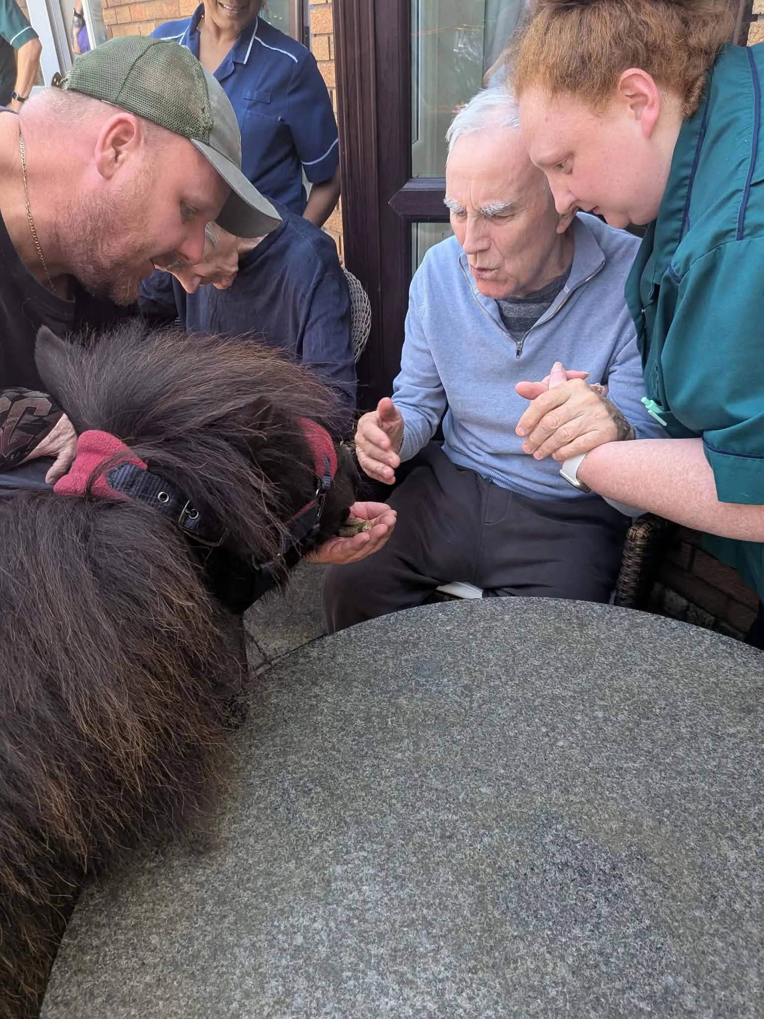 Shetland pony visit 