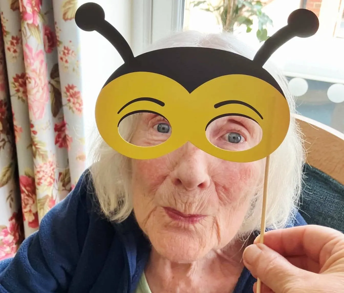 World Bee Day 