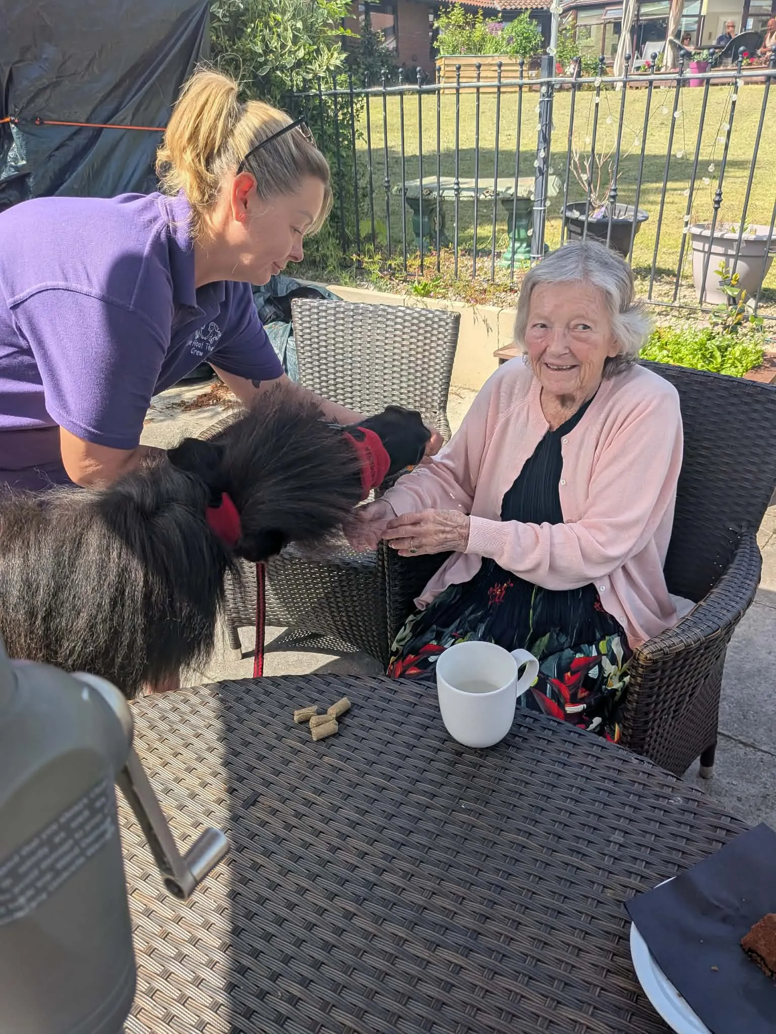 Shetland pony visit 