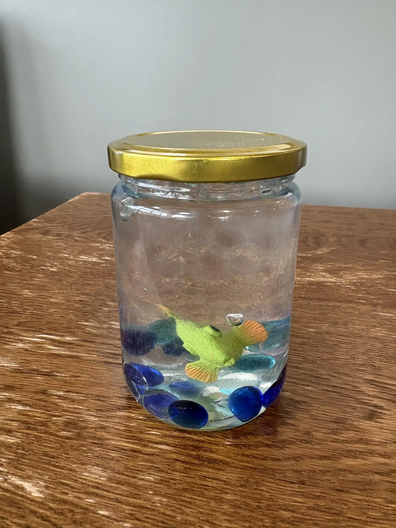 Making our own aquariums