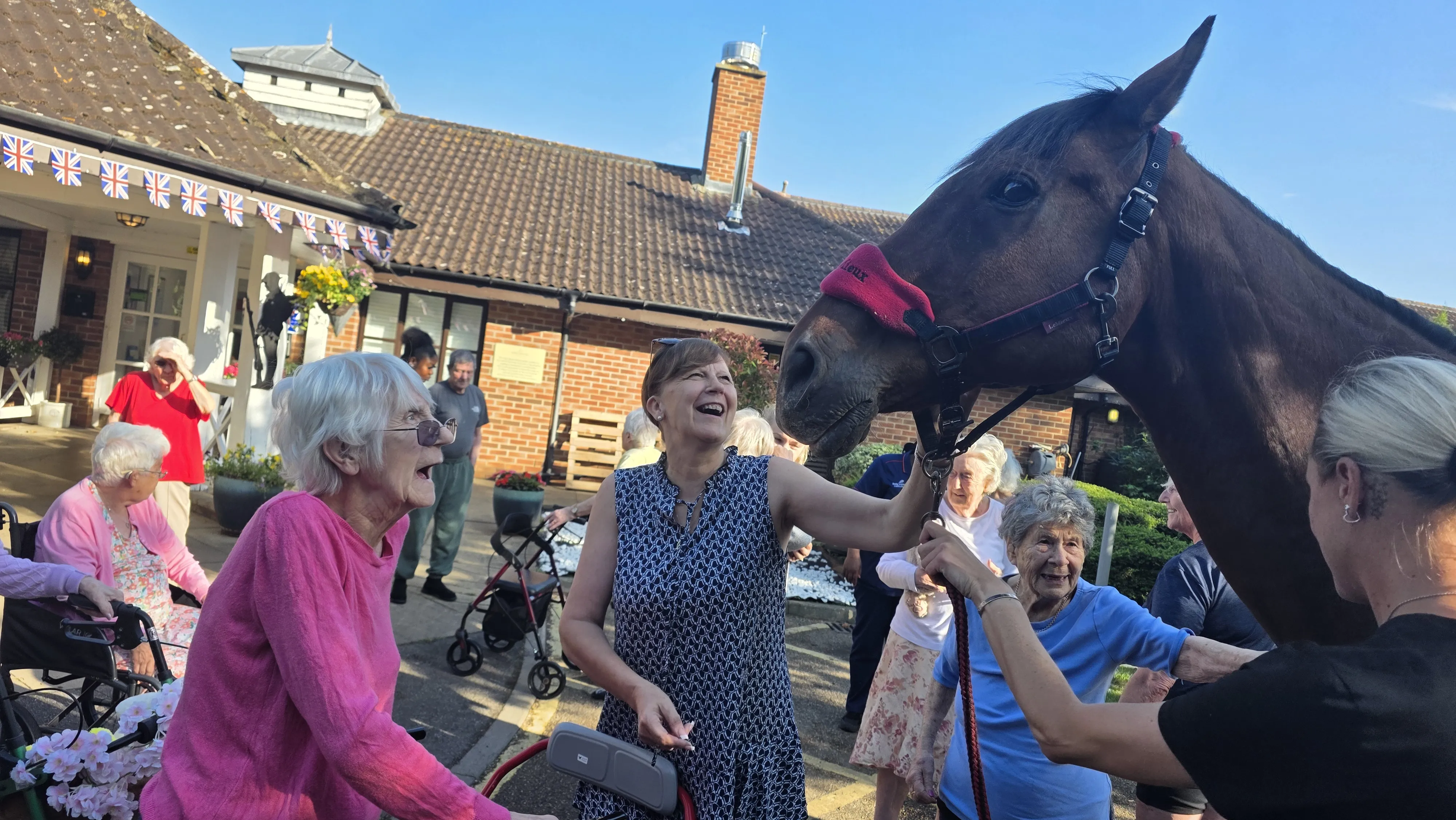 Horse visit