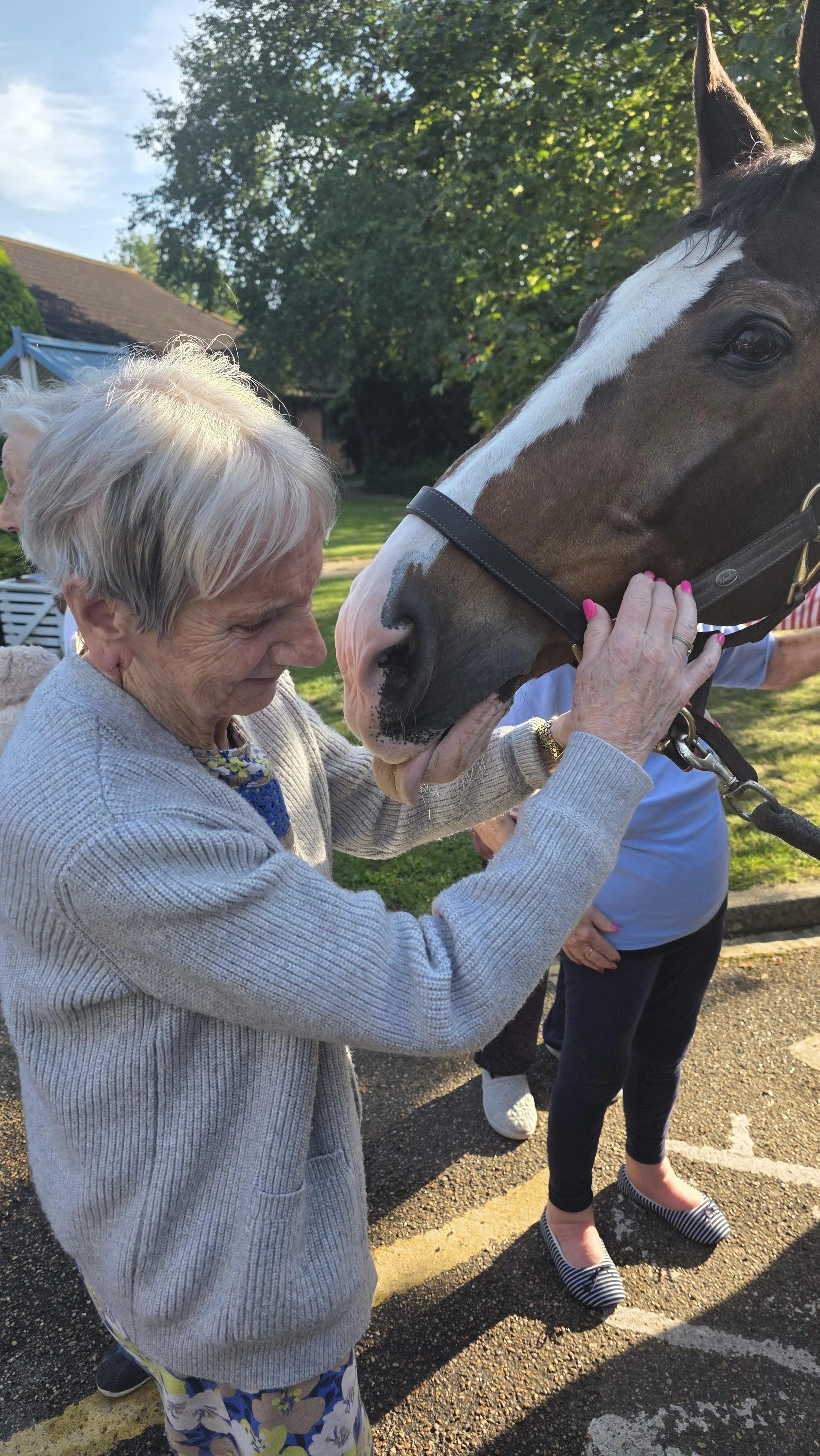 Horse visit