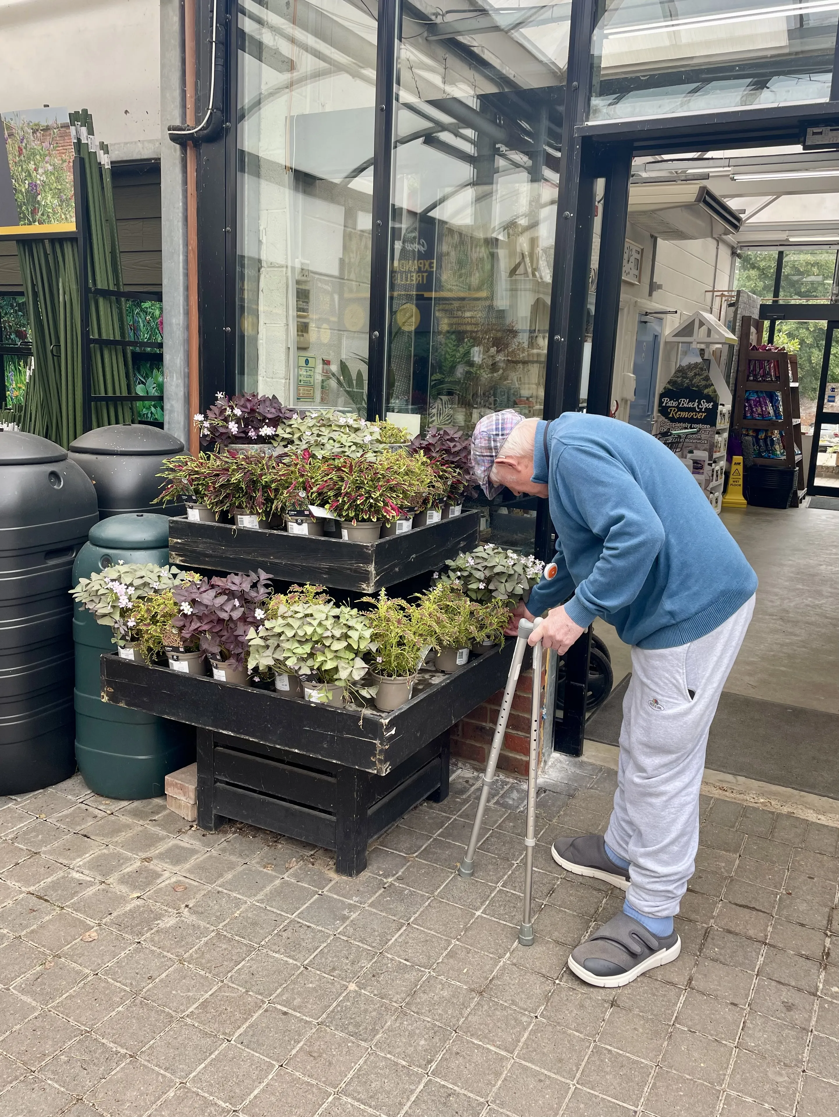 Fun Outing To The Garden Centre