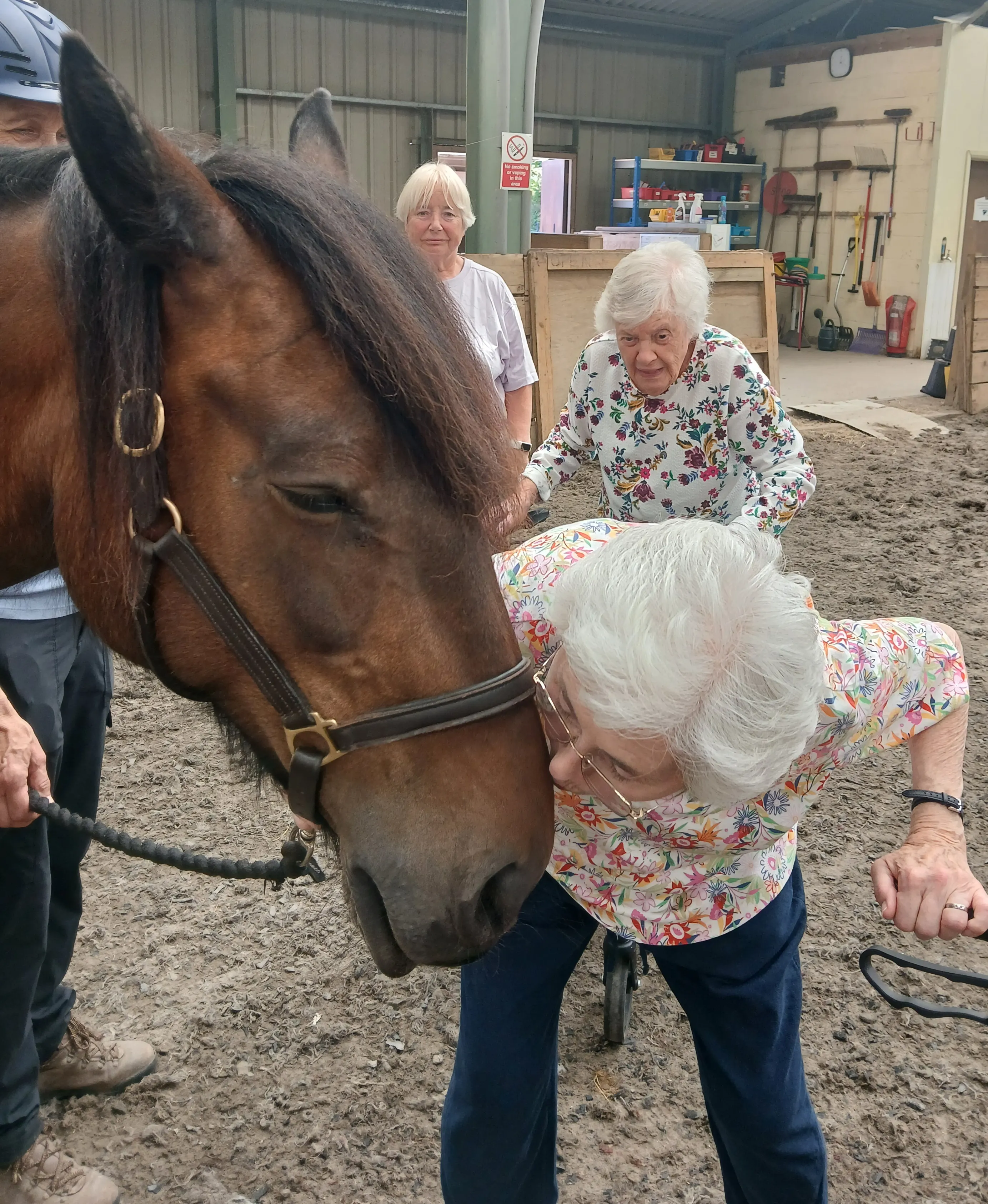 Afternoon tea with ponies 