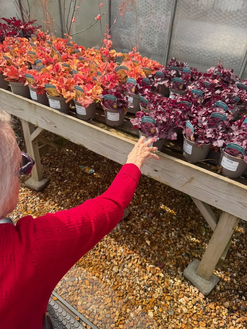 Garden Club goes on the Road