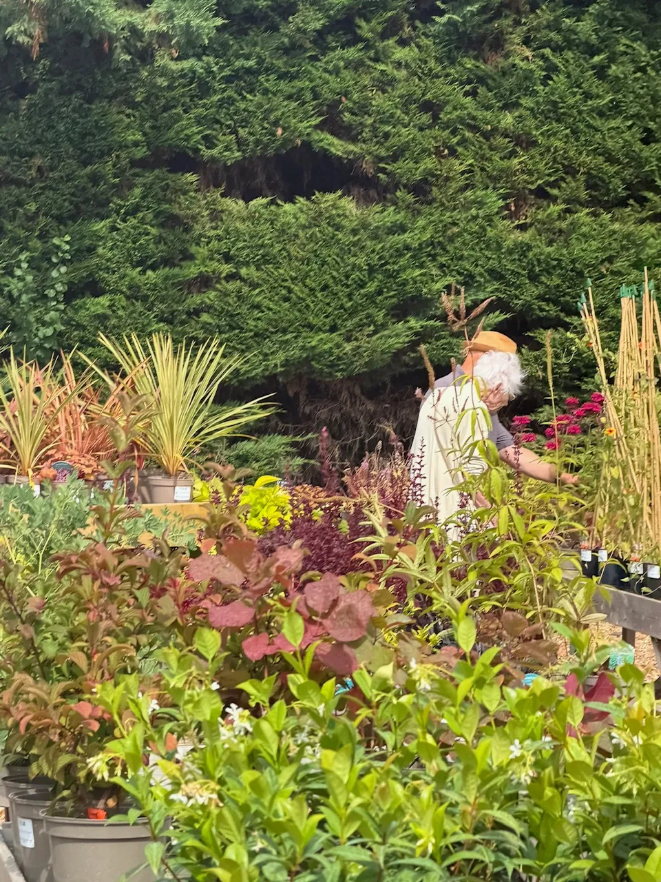 Garden Club goes on the Road