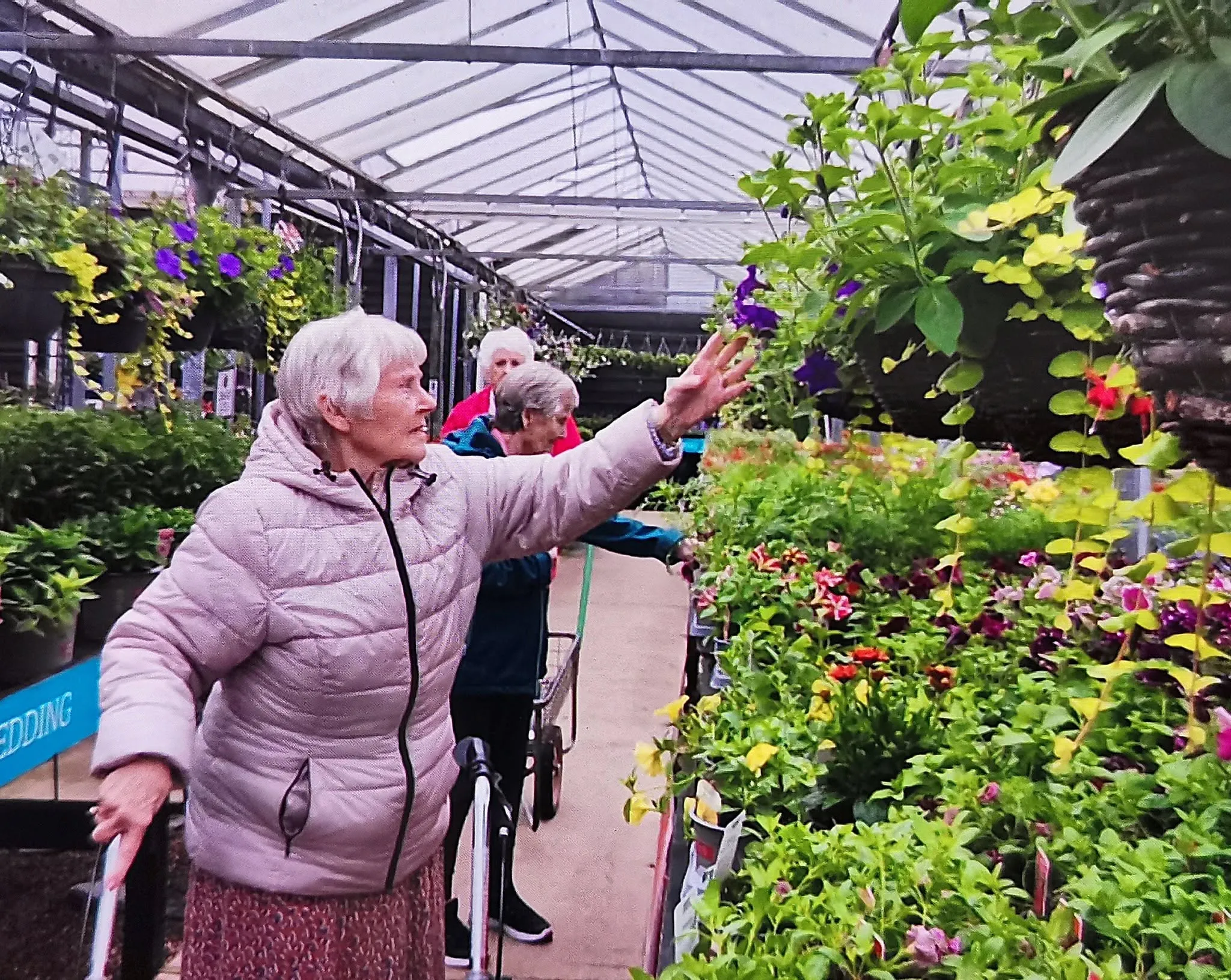 Trip to the garden centre 