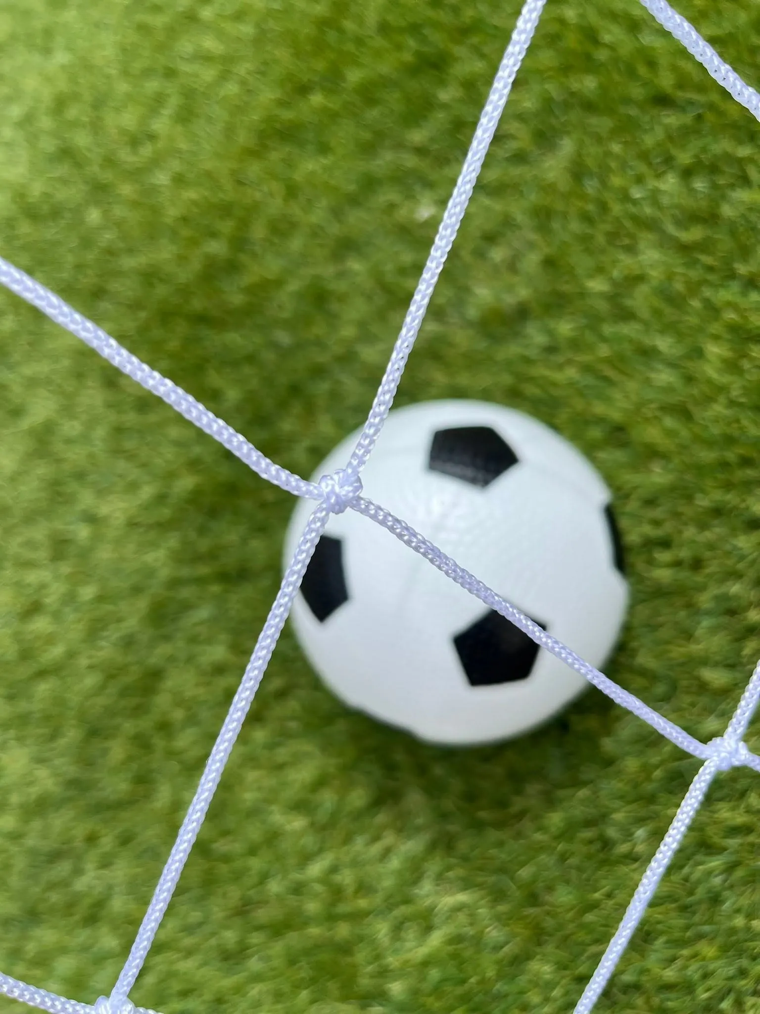 World cup fever has arrived! 