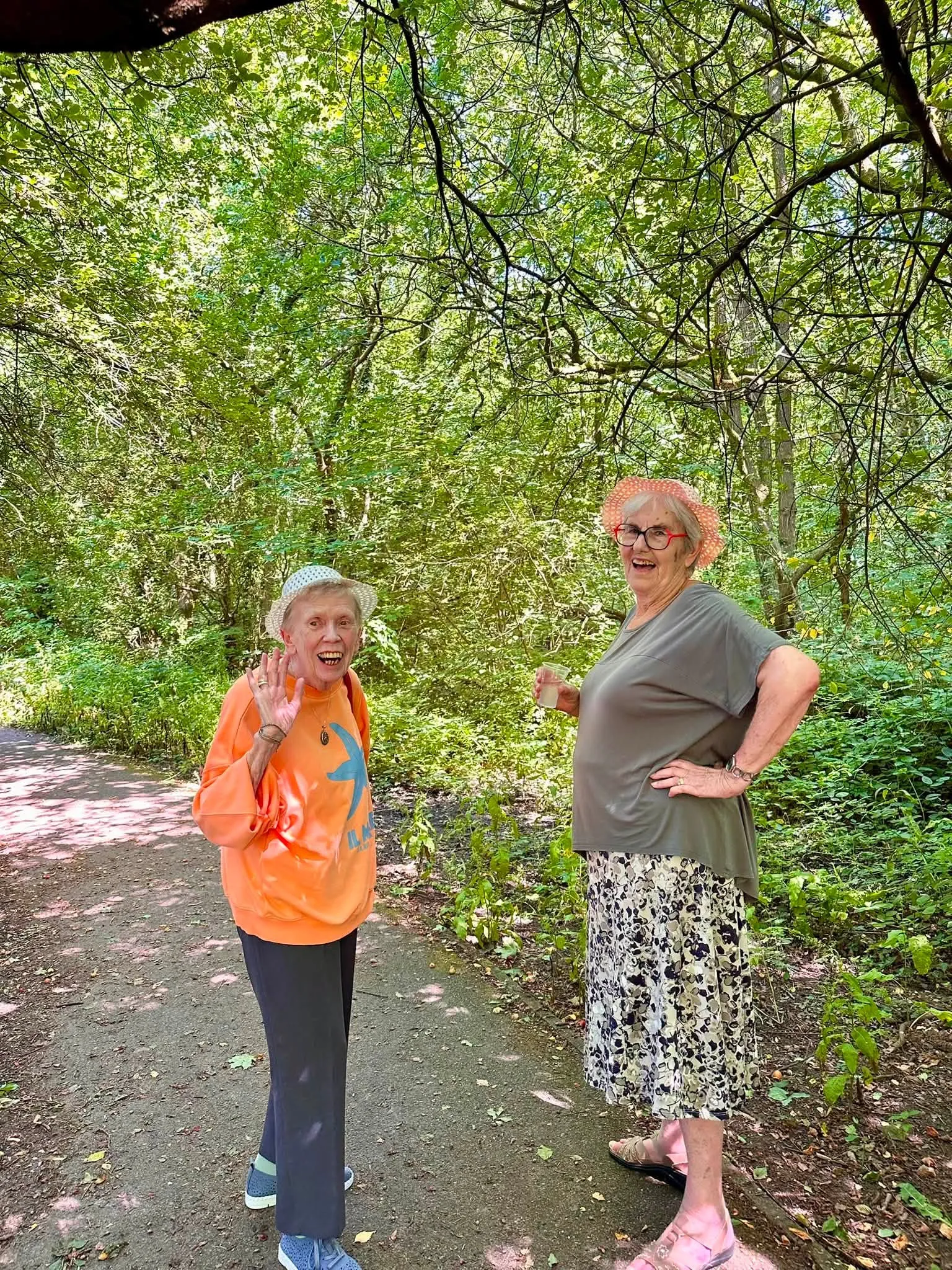 A walk in the woods