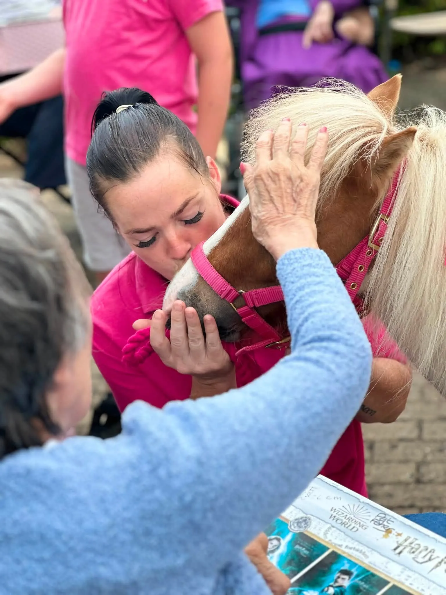 Animal Therapy at Ashford House 