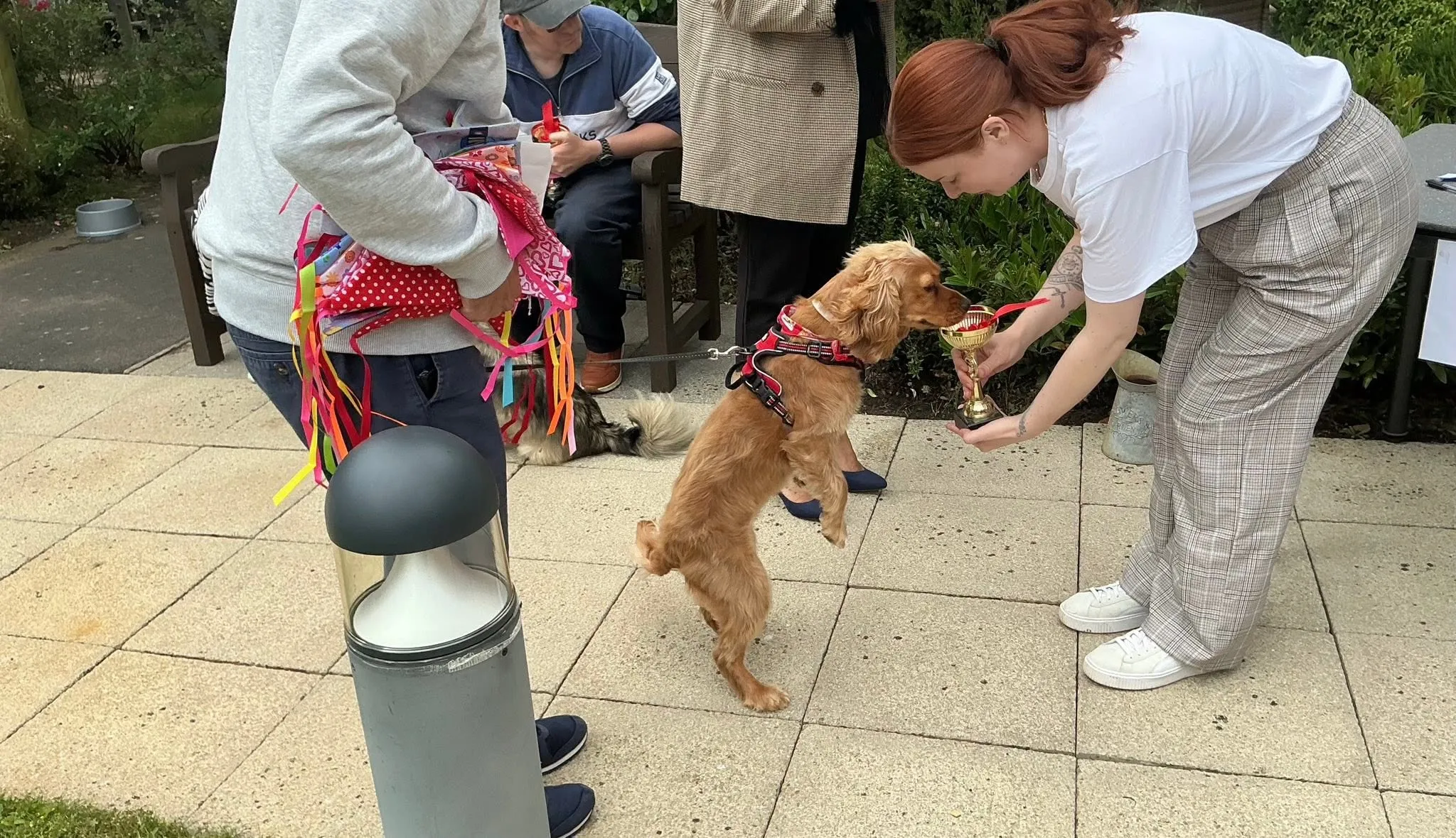 What a pawsome day at Latimer Court!