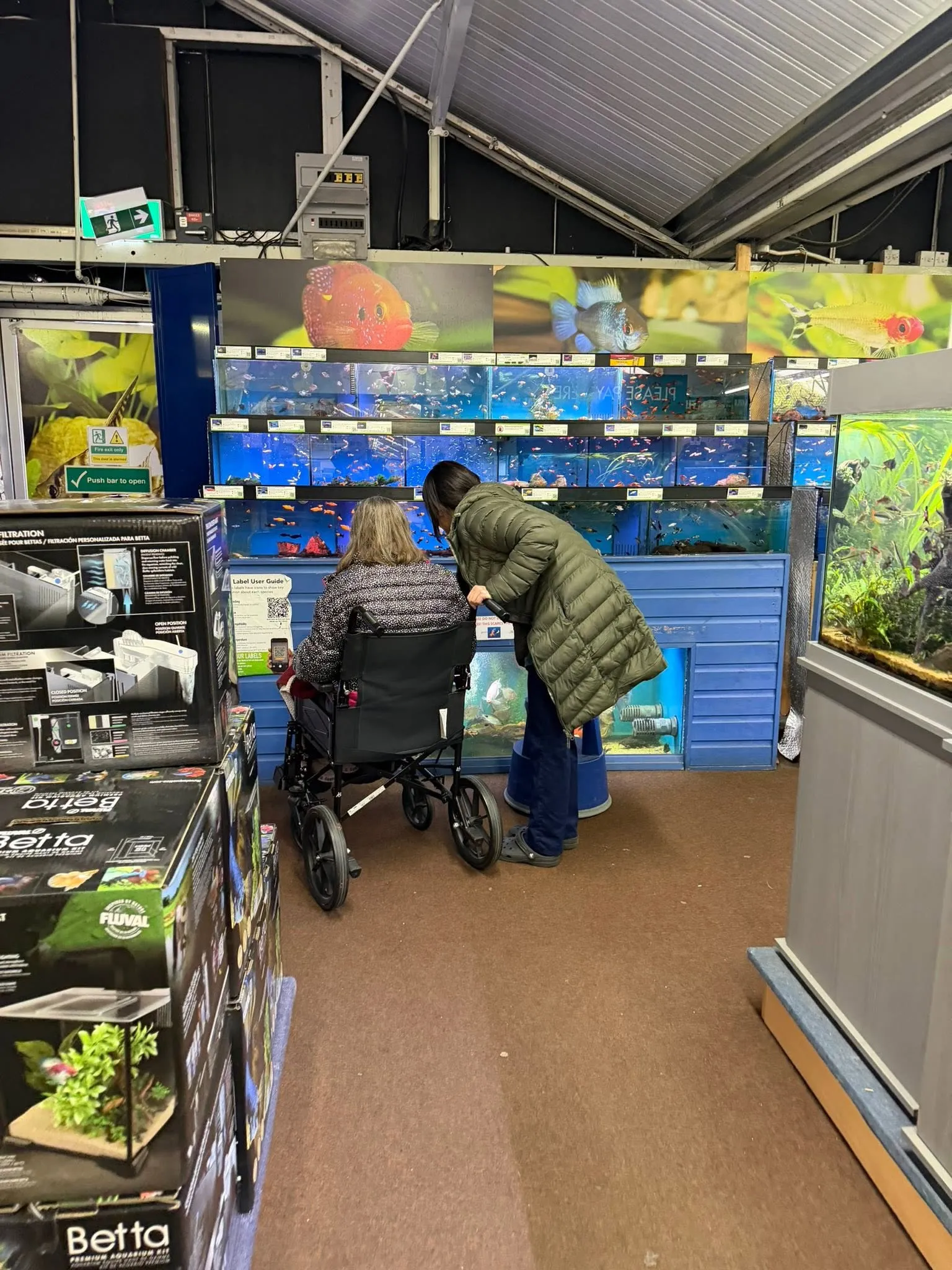 Trip to Dobbie's Garden Centre 