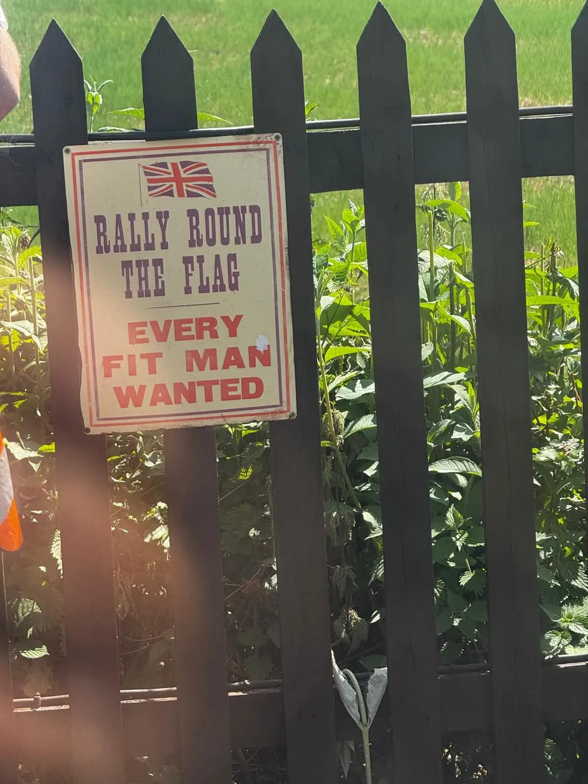 Steam train trip 